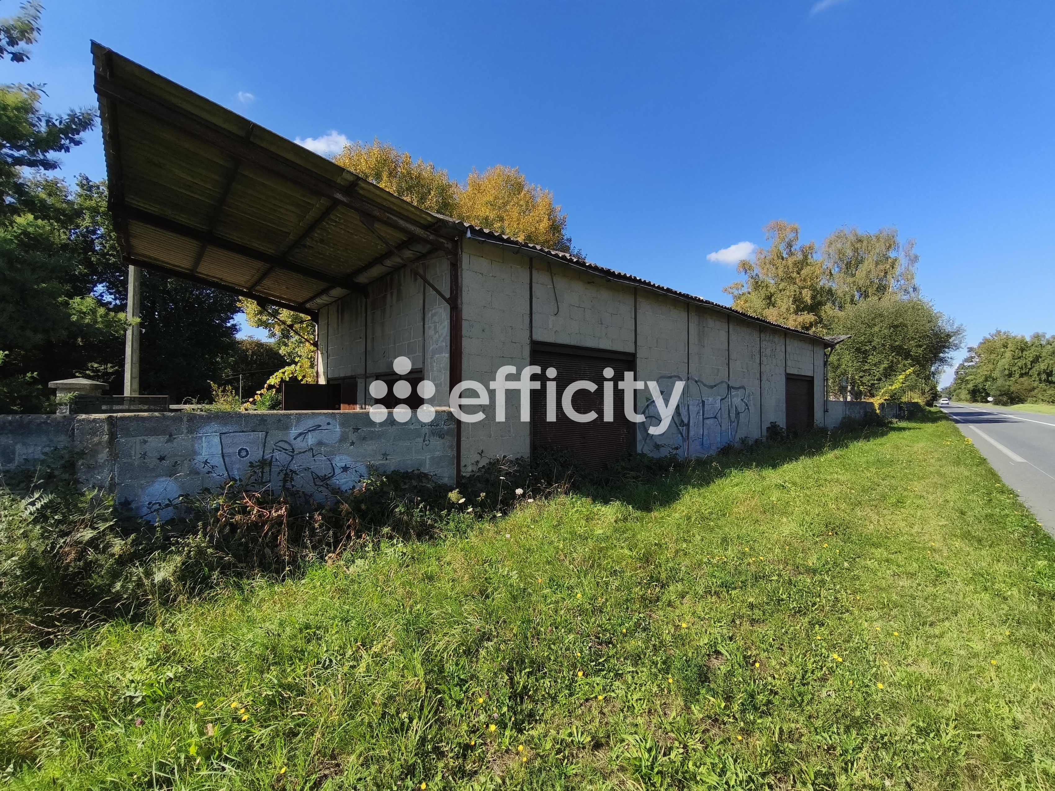 Achat immobilier Maison 5 pièces  184m2 à Le Hinglé (22100) - Photo n°16