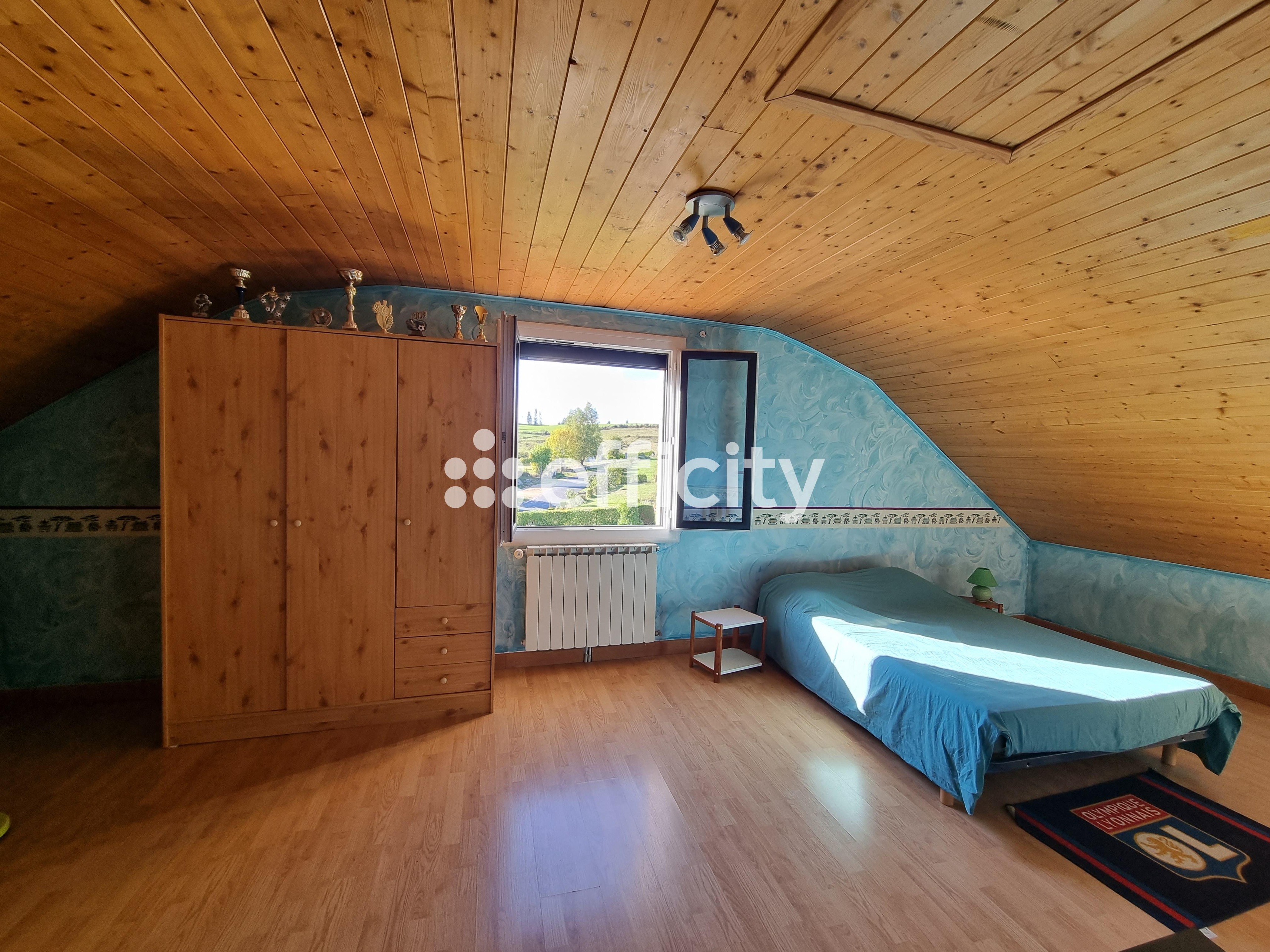 Achat immobilier Maison 7 pièces  144m2 à Les Bessons (48200) - Photo n°10