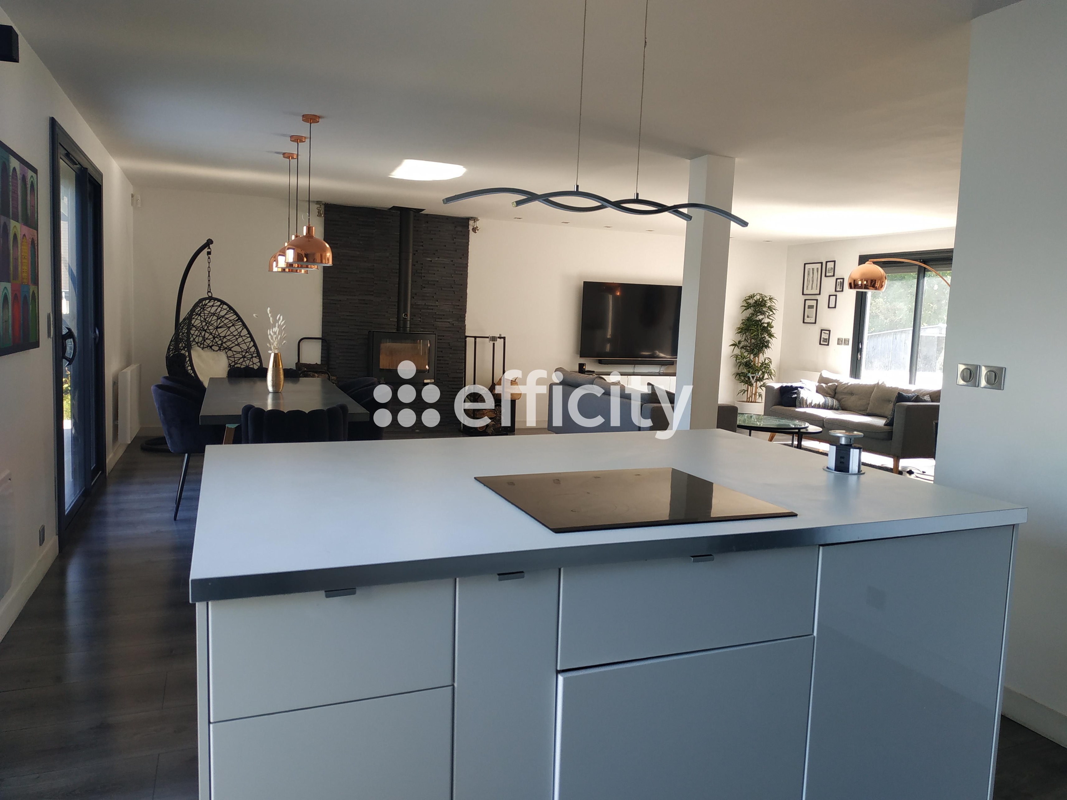 Achat immobilier Maison 7 pièces  157m2 à Élancourt (78990) - Photo n°5