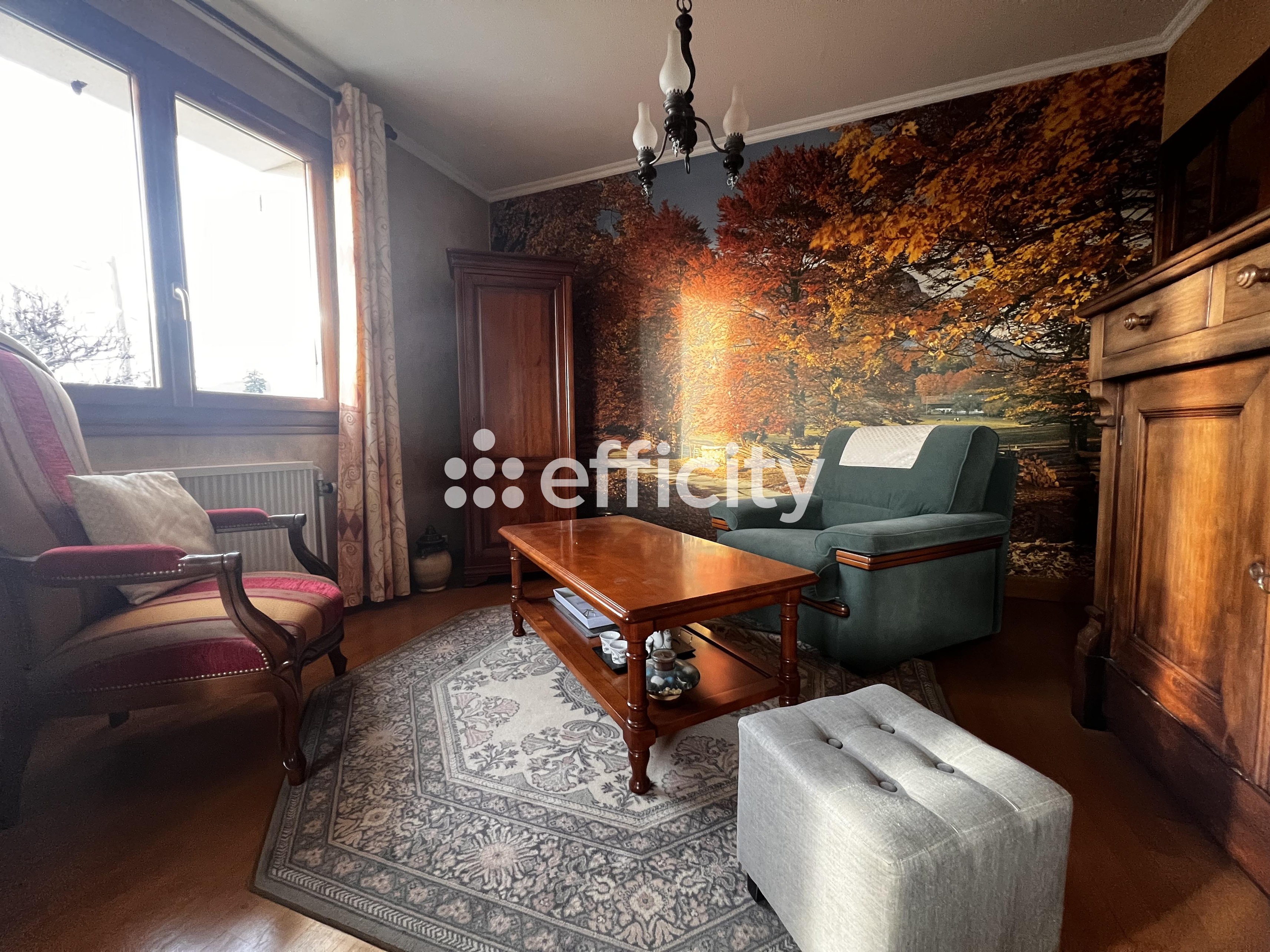 Achat immobilier Maison 3 pièces  65m2 à Le Grand-Lemps (38690) - Photo n°4