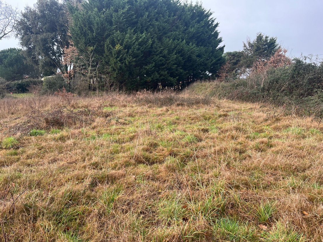 terrain  - 1173,0m2 à Talmont-Saint-Hilaire (85440)