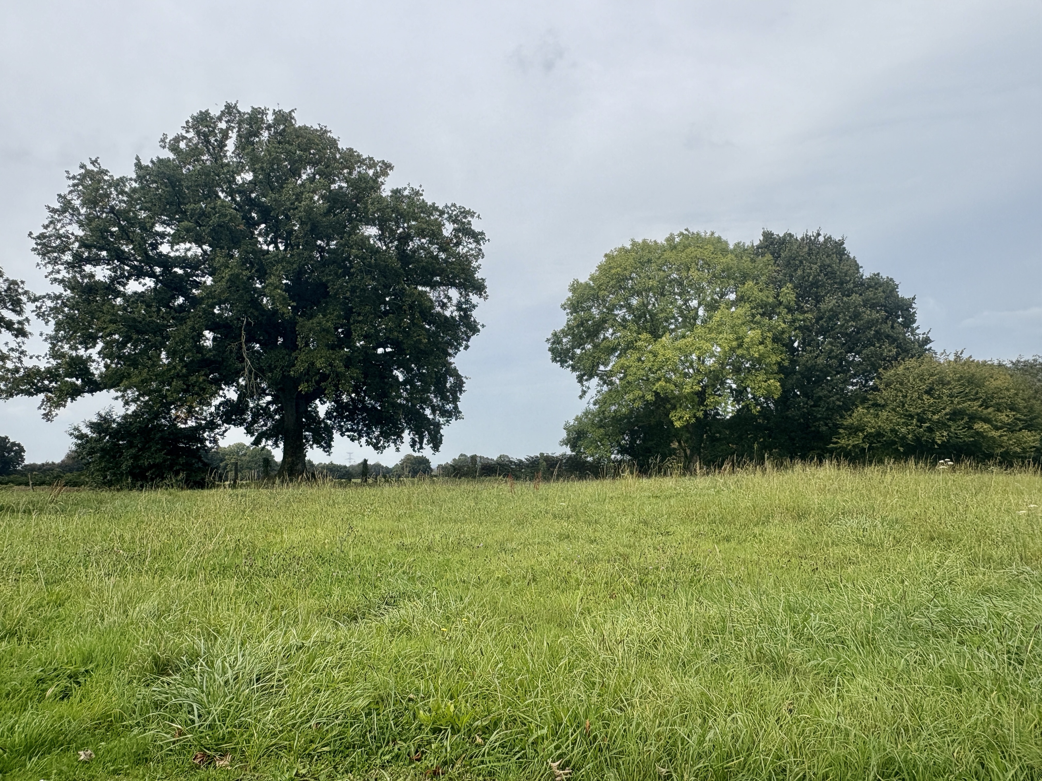 Achat immobilier Maison 6 pièces  124m2 à Le Mesnil-Rouxelin (50000) - Photo n°7