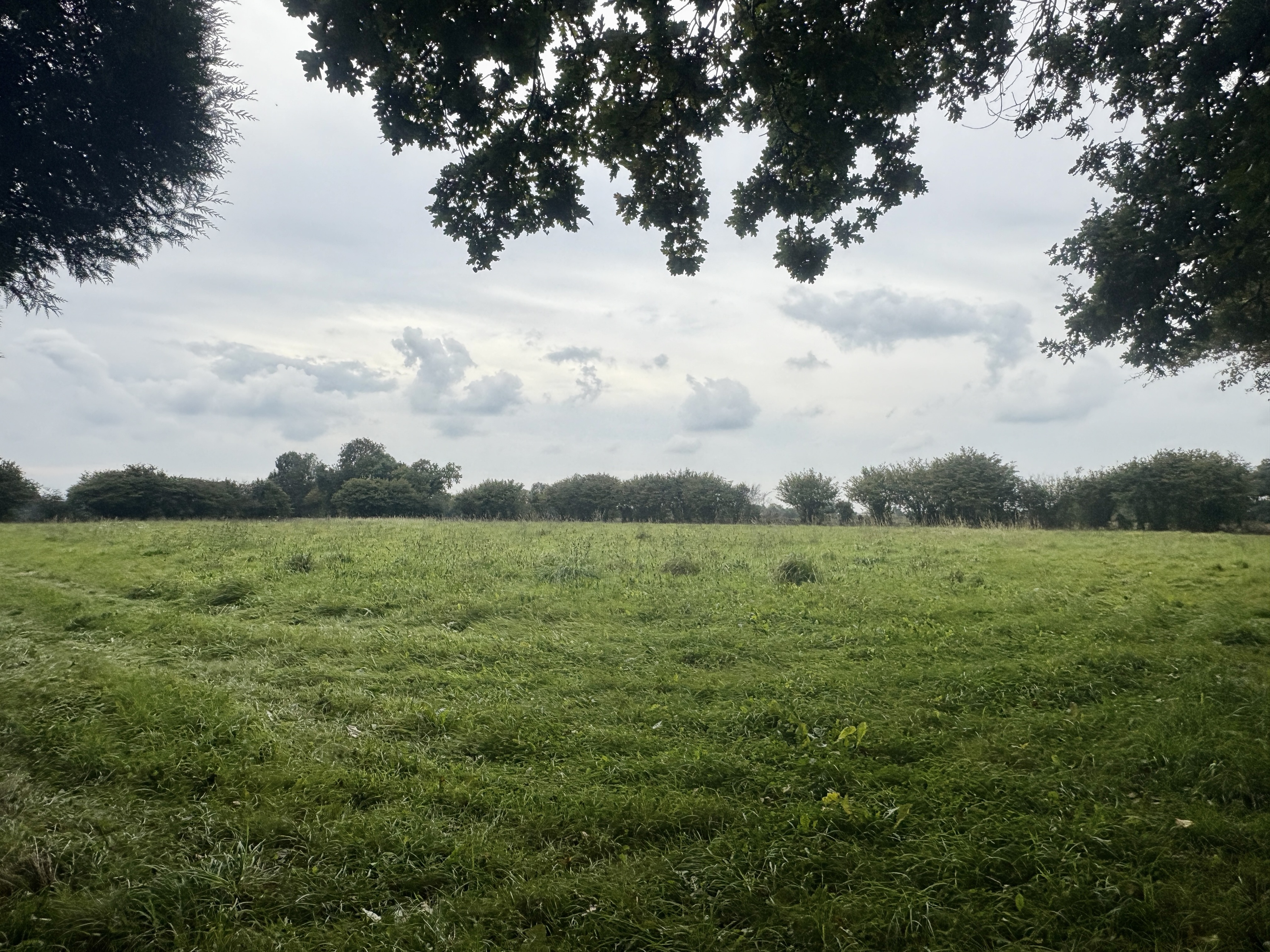 Achat immobilier Maison 6 pièces  124m2 à Le Mesnil-Rouxelin (50000) - Photo n°8