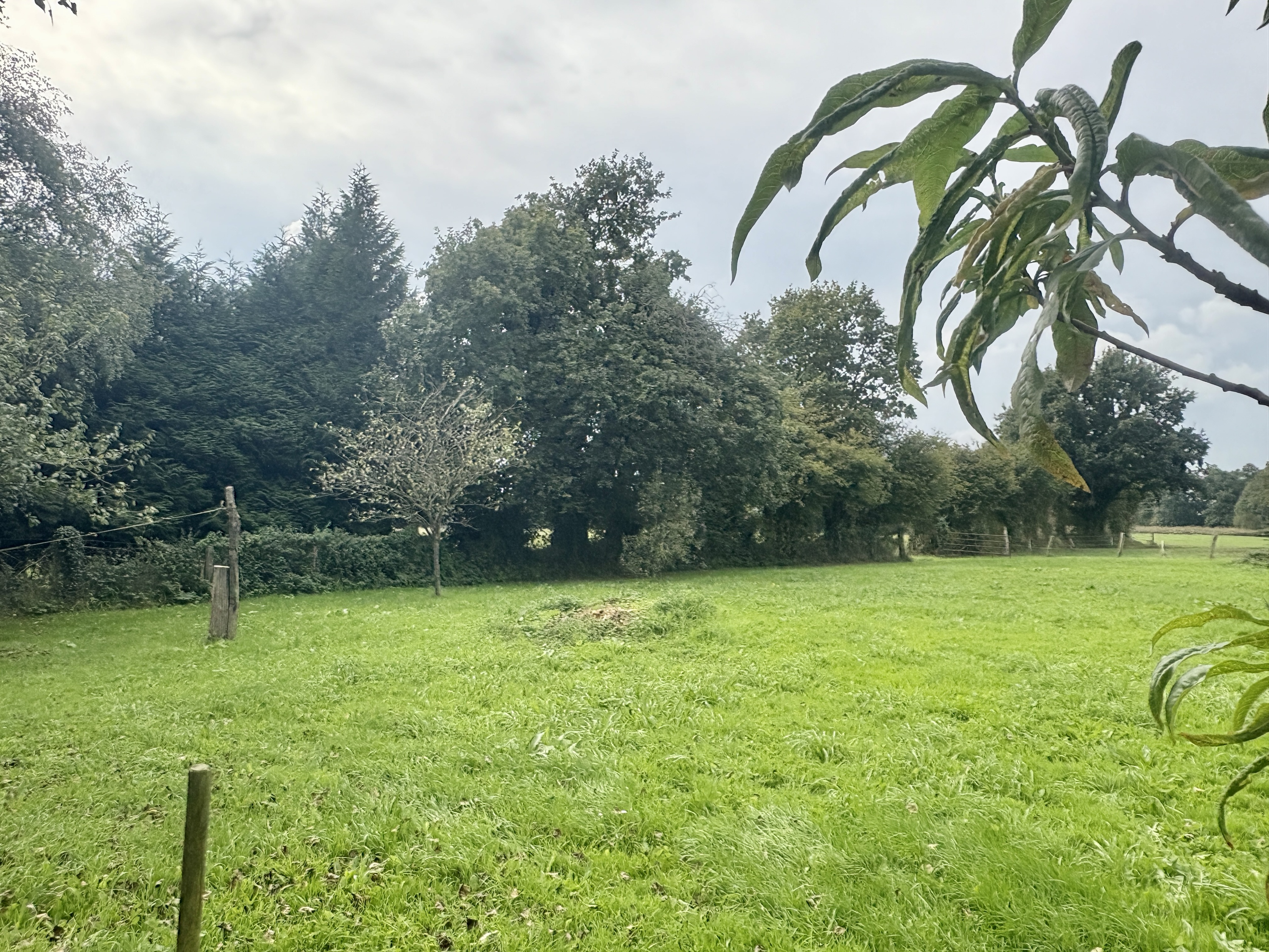 Achat immobilier Maison 6 pièces  124m2 à Le Mesnil-Rouxelin (50000) - Photo n°6