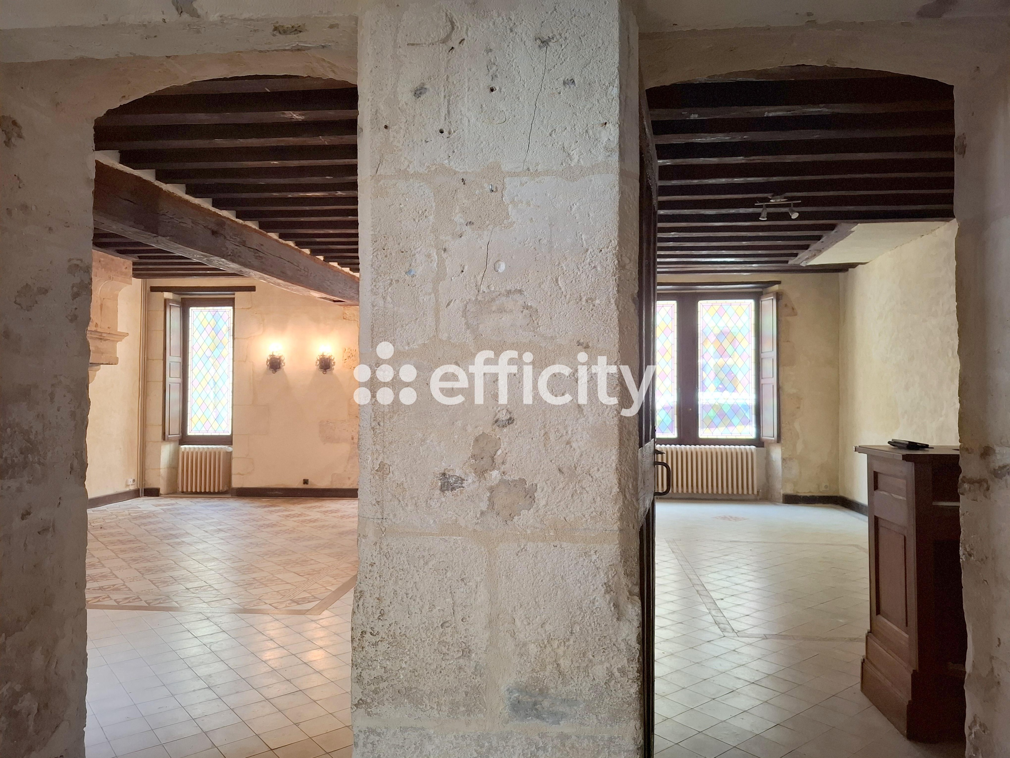 Achat immobilier Maison 11 pièces  349m2 à Nogent-le-Rotrou (28400) - Photo n°6