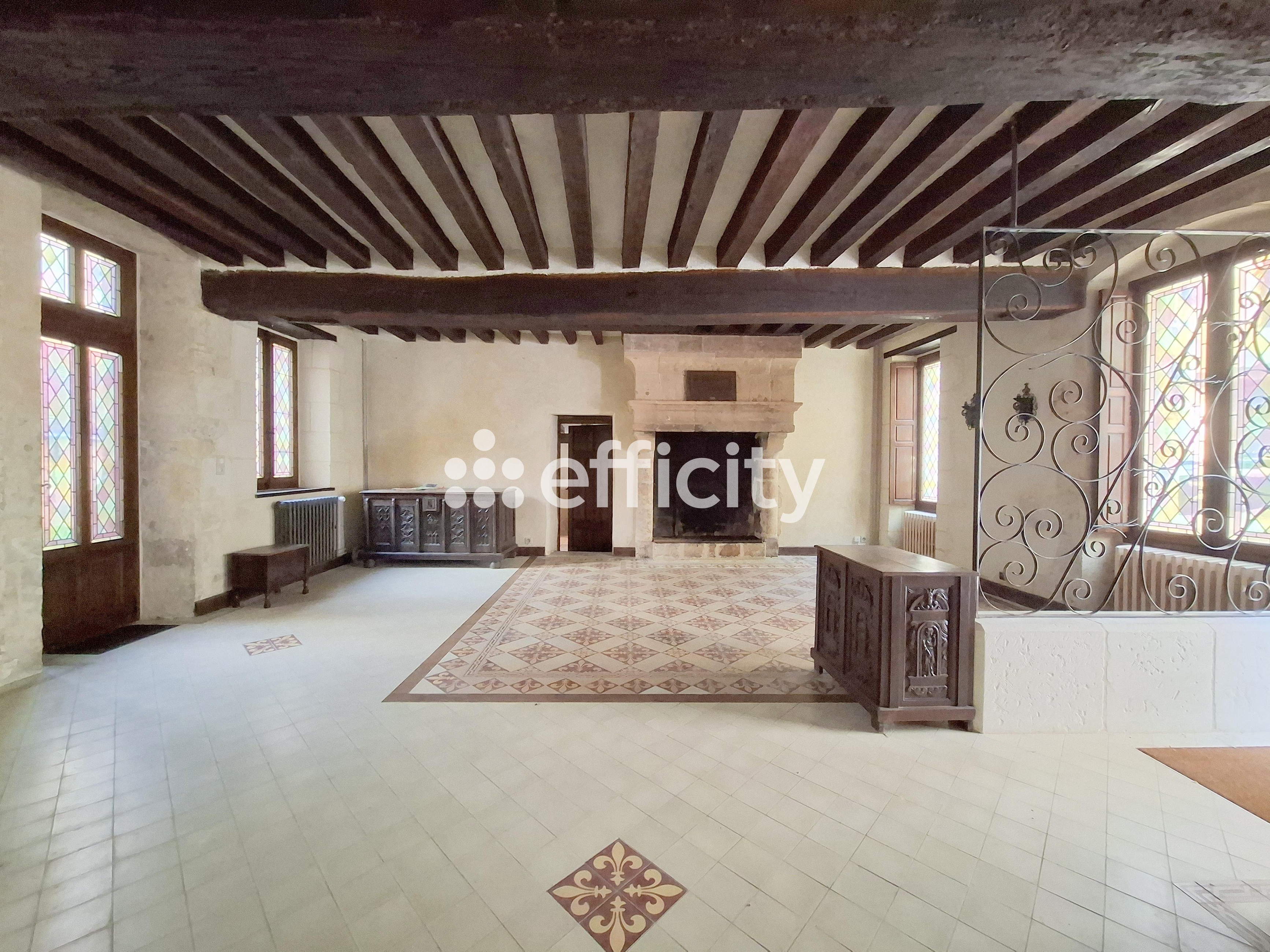 Achat immobilier Maison 11 pièces  349m2 à Nogent-le-Rotrou (28400) - Photo n°5