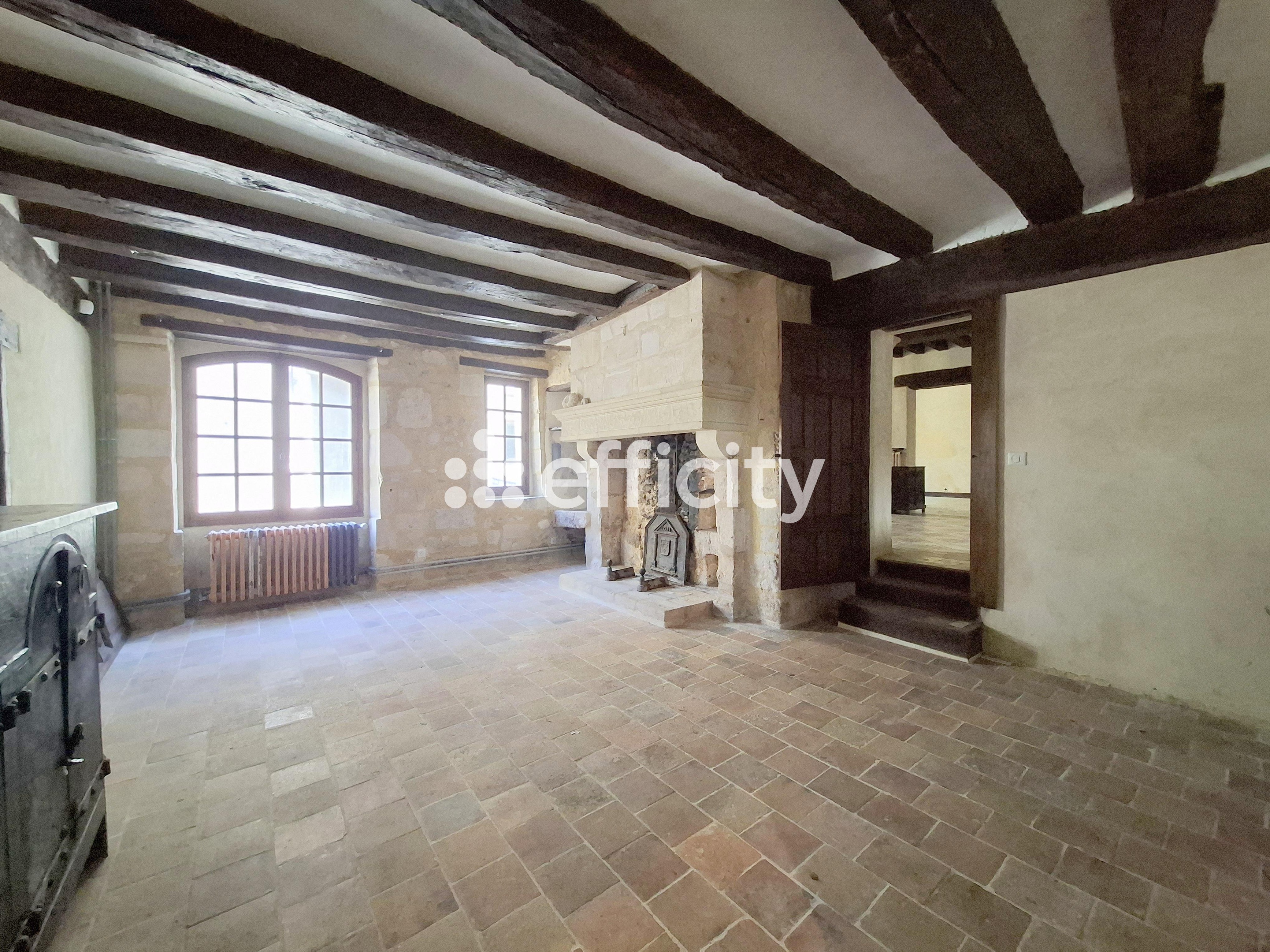 Achat immobilier Maison 11 pièces  349m2 à Nogent-le-Rotrou (28400) - Photo n°9