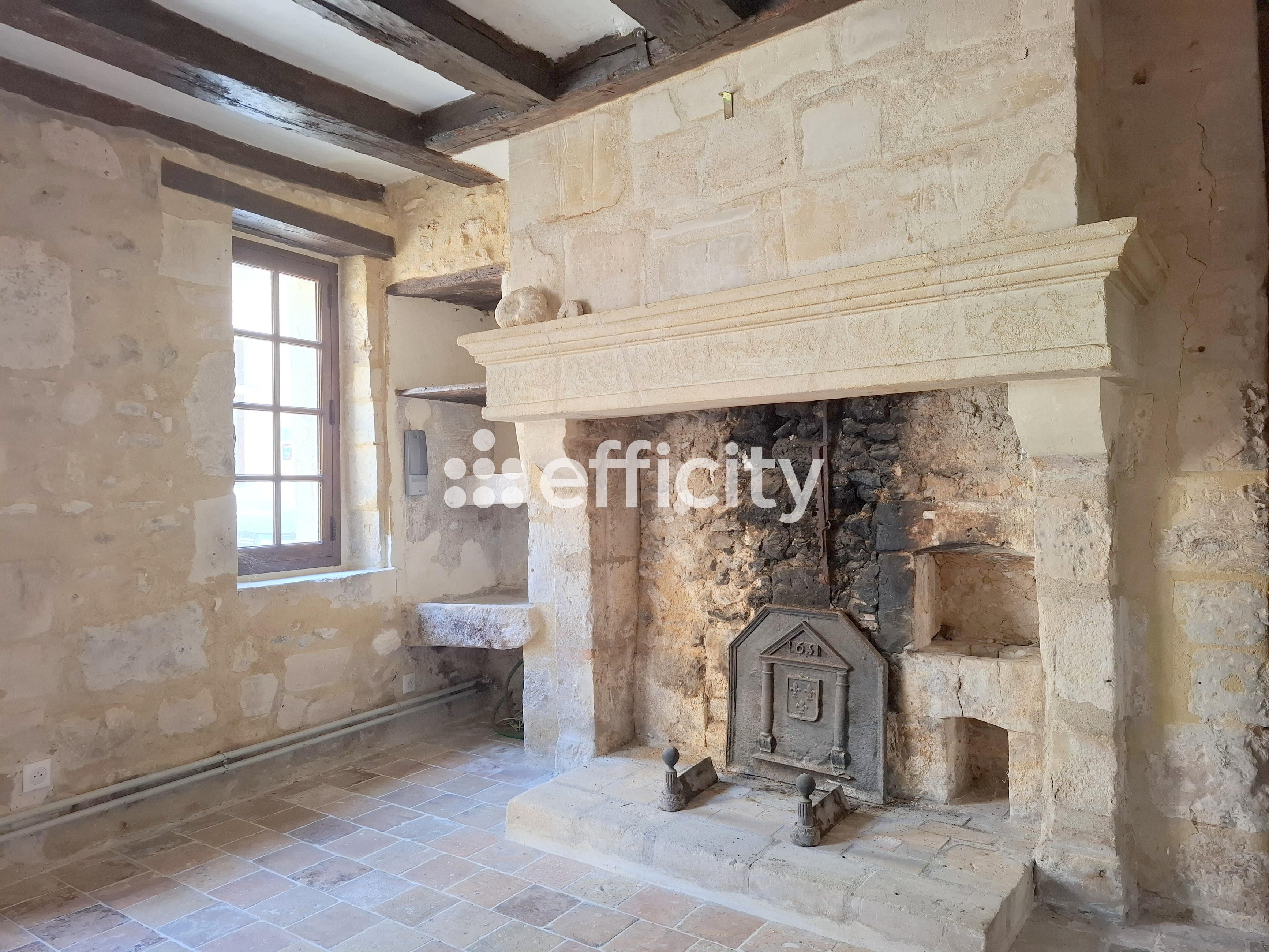 Achat immobilier Maison 11 pièces  349m2 à Nogent-le-Rotrou (28400) - Photo n°10