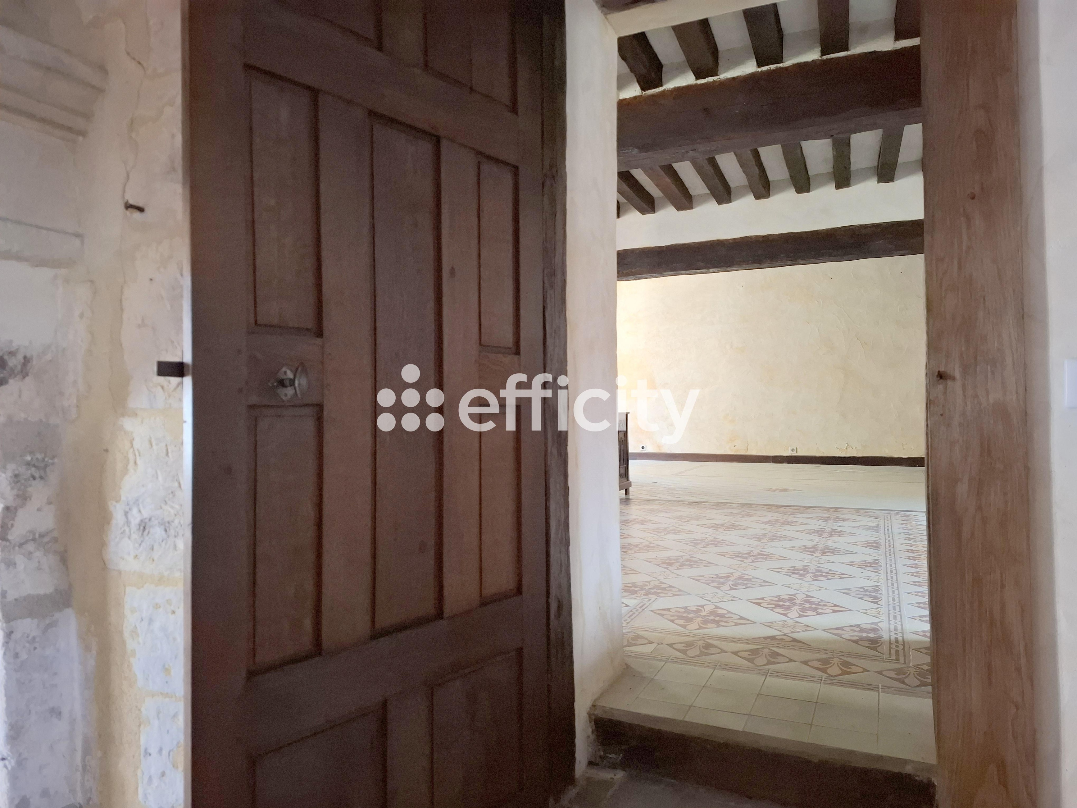 Achat immobilier Maison 11 pièces  349m2 à Nogent-le-Rotrou (28400) - Photo n°12