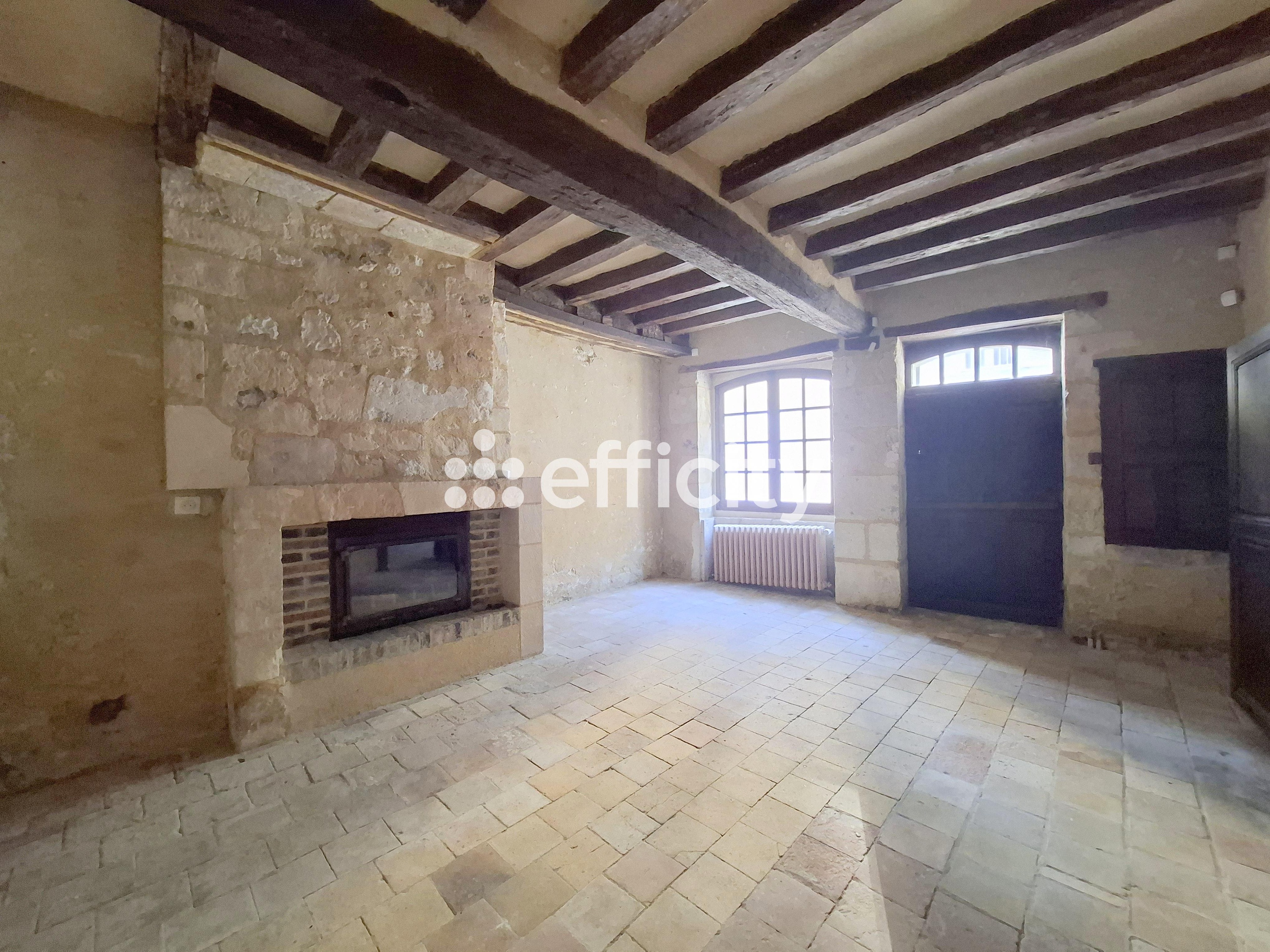 Achat immobilier Maison 11 pièces  349m2 à Nogent-le-Rotrou (28400) - Photo n°11
