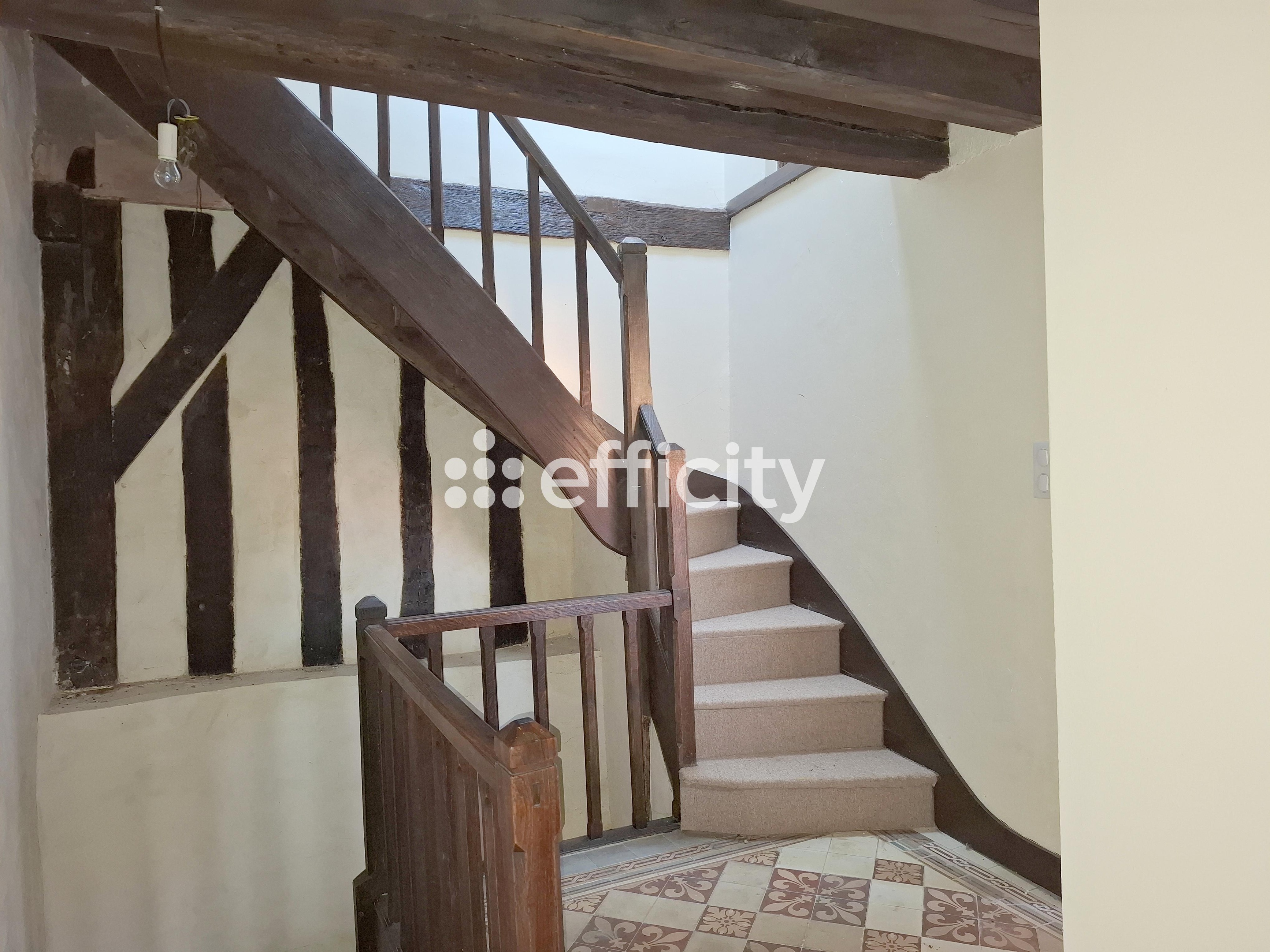Achat immobilier Maison 11 pièces  349m2 à Nogent-le-Rotrou (28400) - Photo n°13