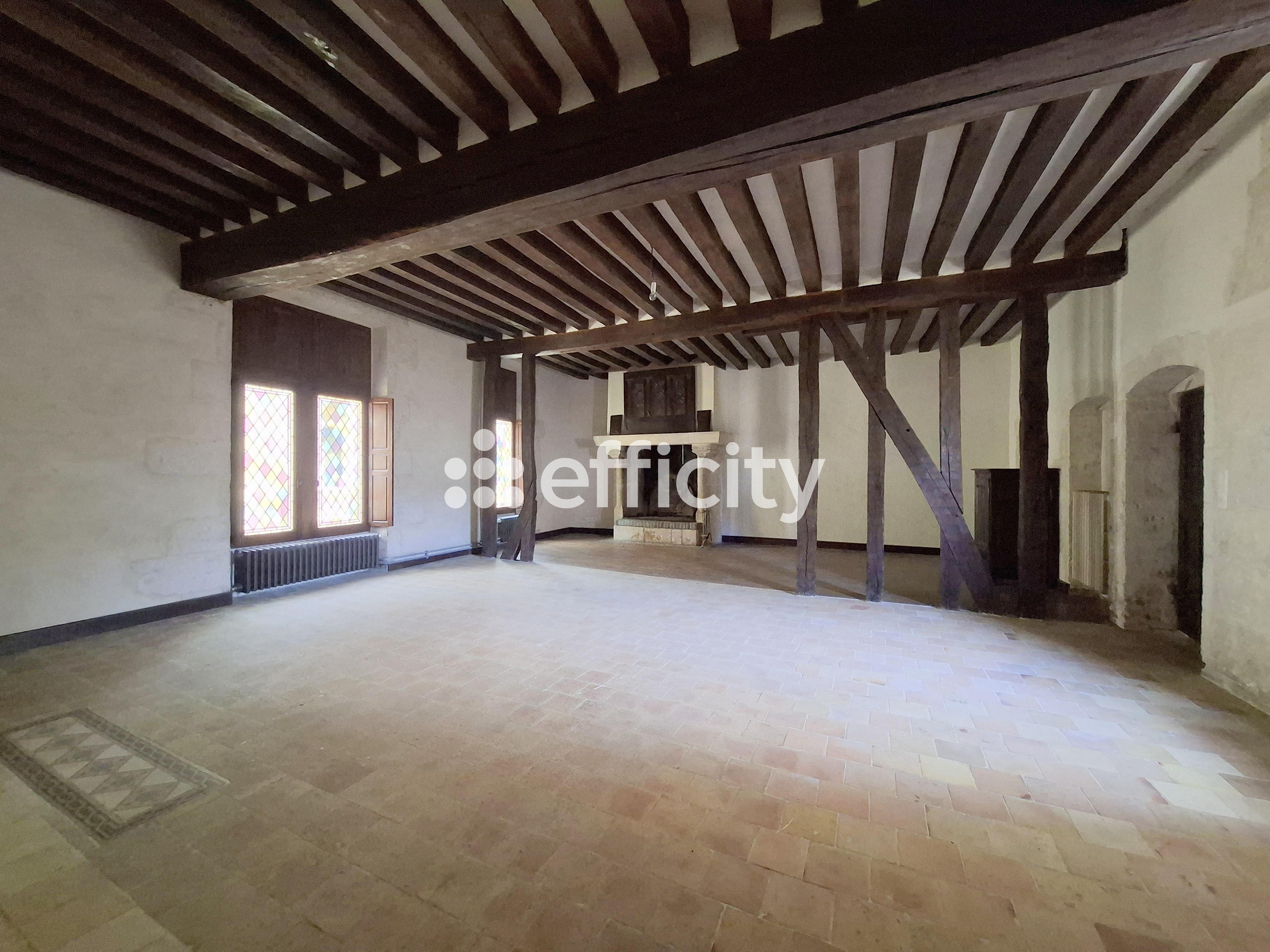 Achat immobilier Maison 11 pièces  349m2 à Nogent-le-Rotrou (28400) - Photo n°15