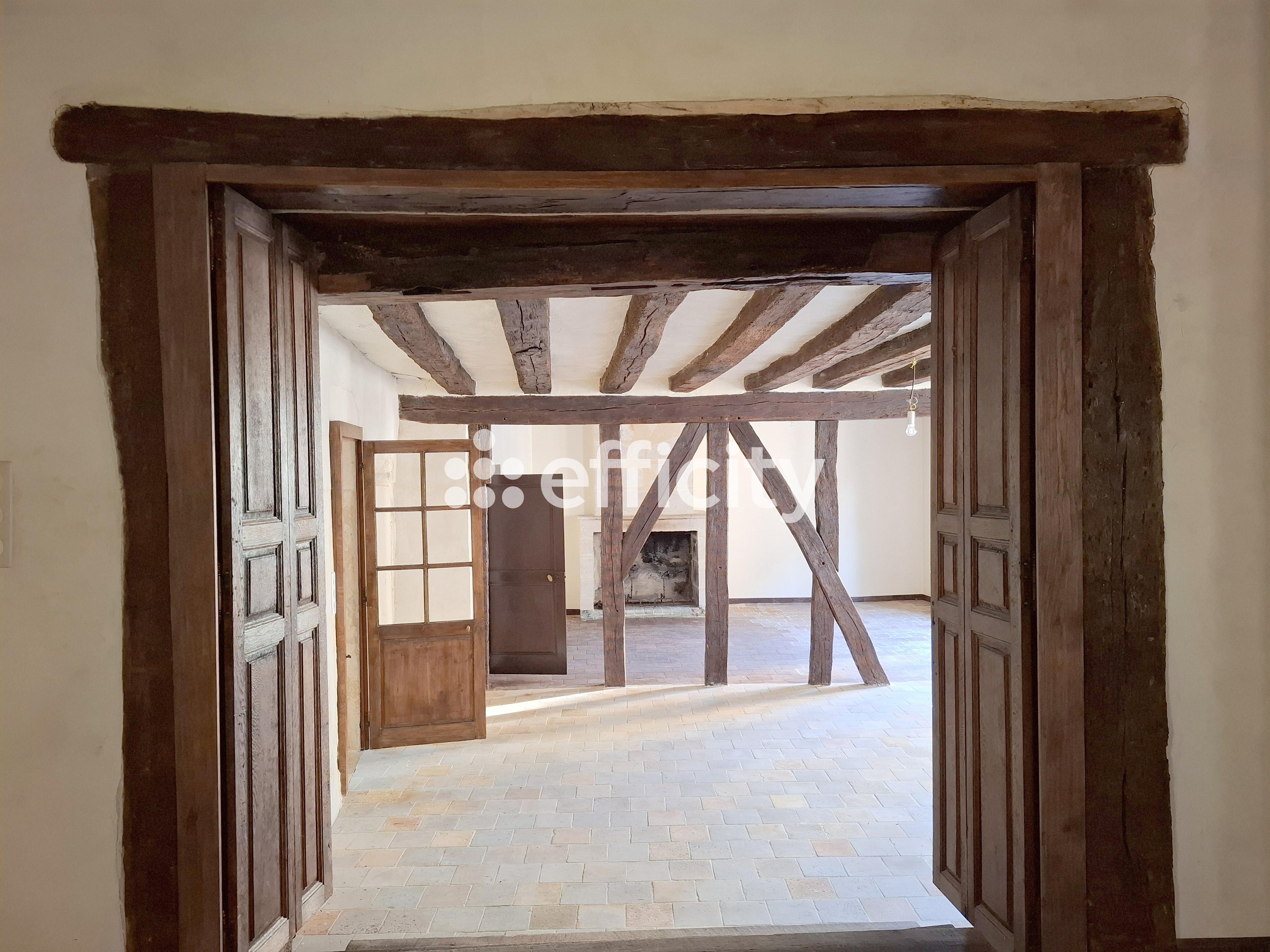 Achat immobilier Maison 11 pièces  349m2 à Nogent-le-Rotrou (28400) - Photo n°14