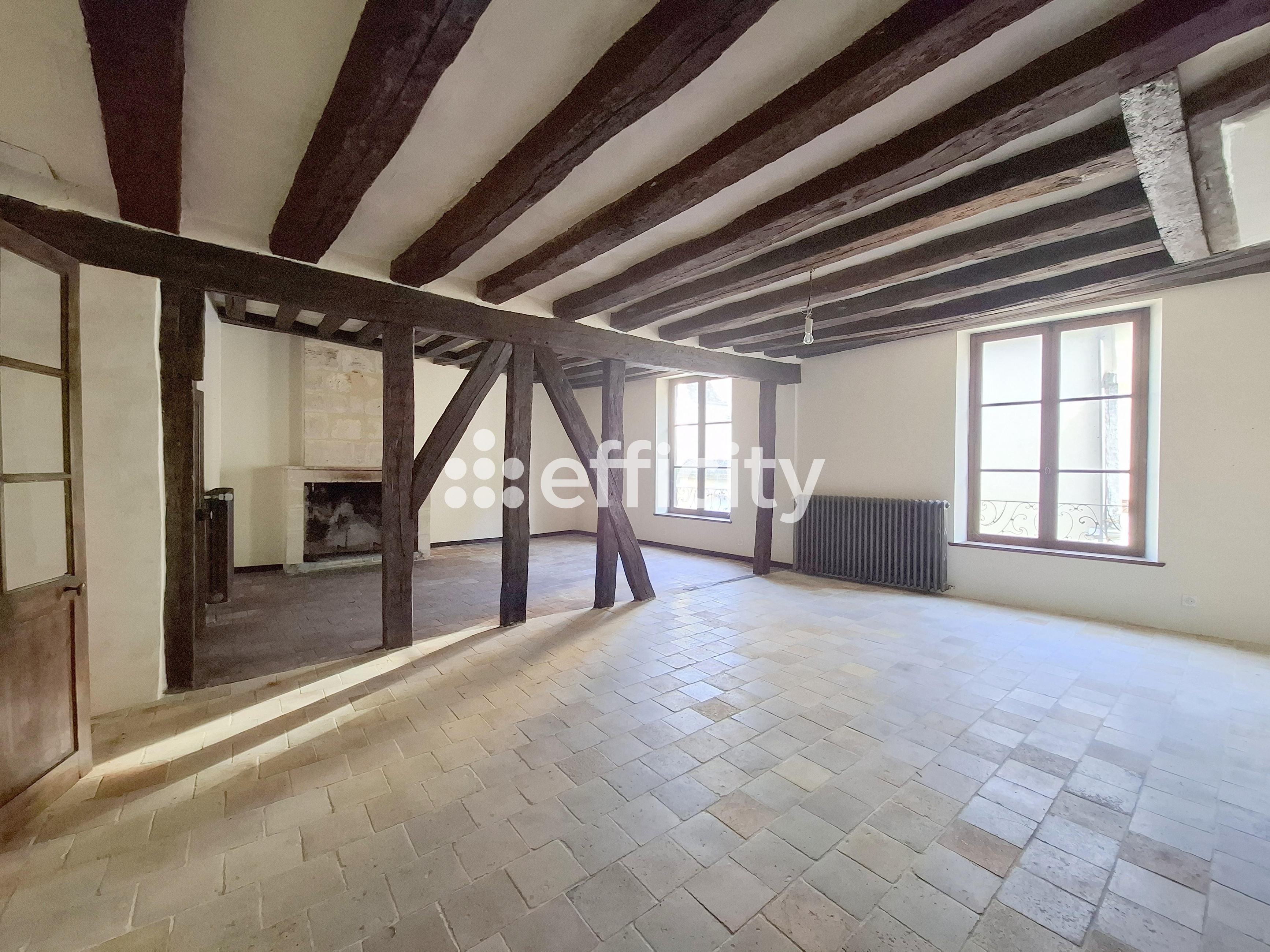 Achat immobilier Maison 11 pièces  349m2 à Nogent-le-Rotrou (28400) - Photo n°16