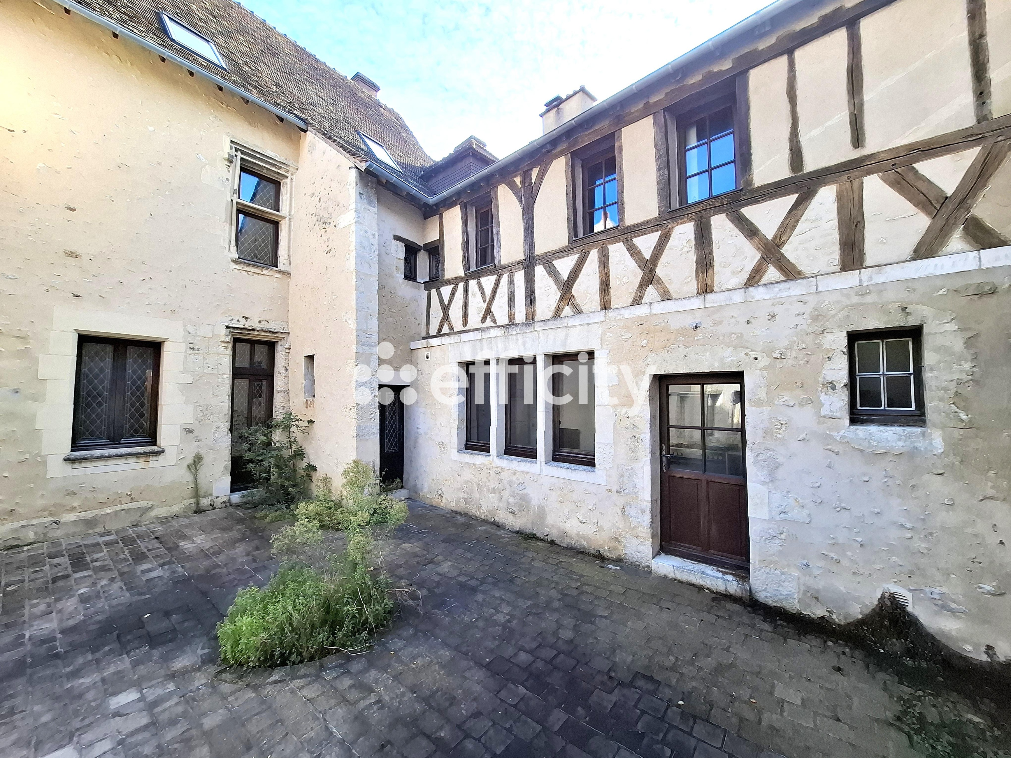 Achat immobilier Maison 11 pièces  349m2 à Nogent-le-Rotrou (28400) - Photo n°1