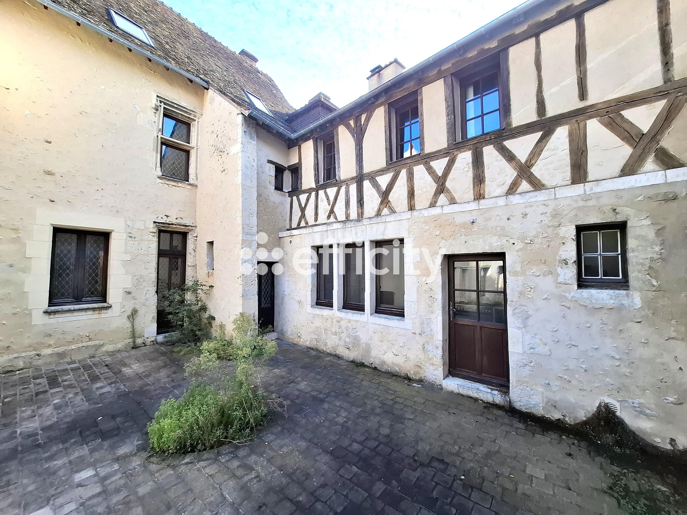 maison 11 pièces - 349m2 à Nogent-le-Rotrou (28400)