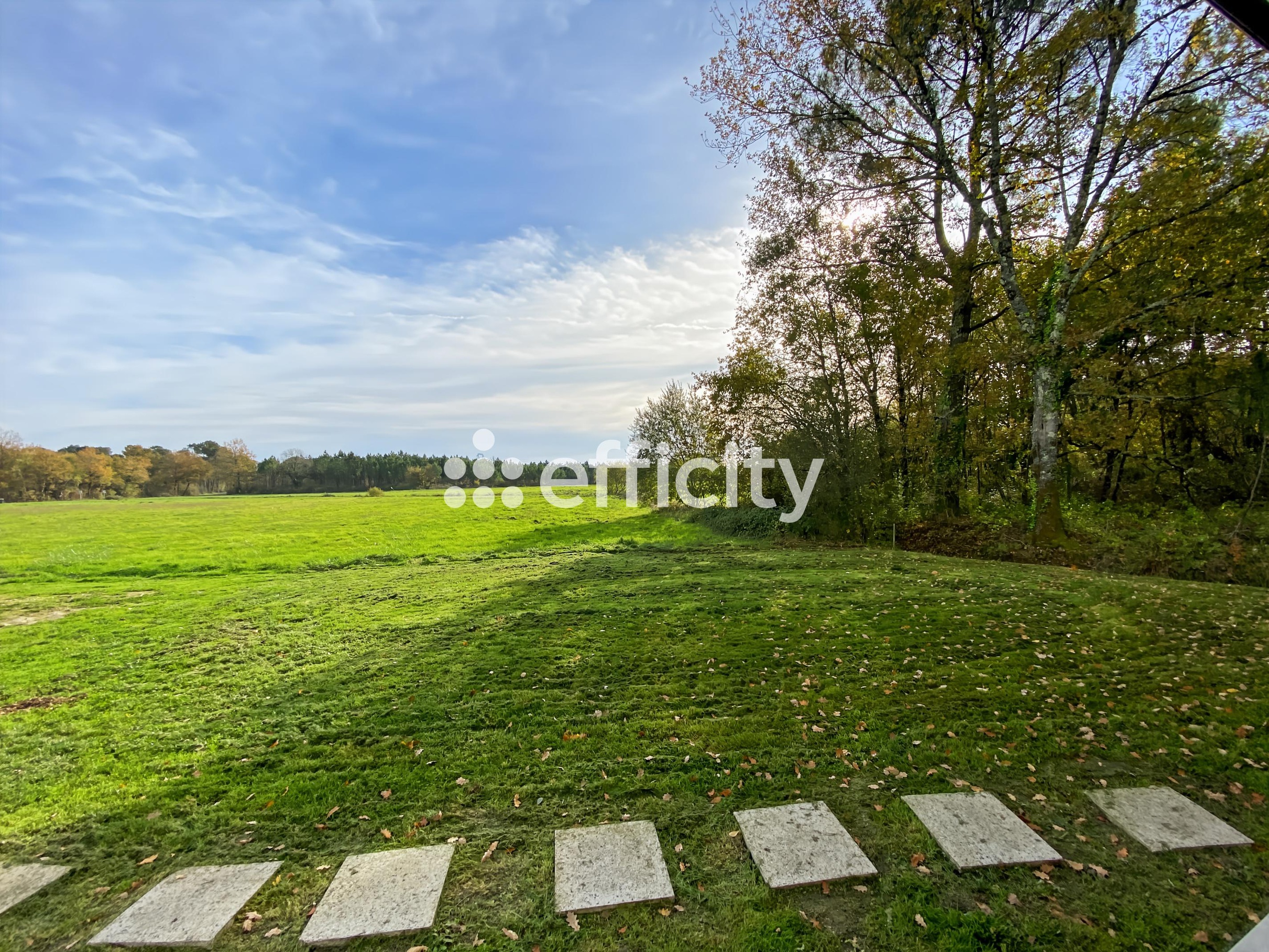 Achat immobilier Maison 4 pièces  97m2 à Montendre (17130) - Photo n°6