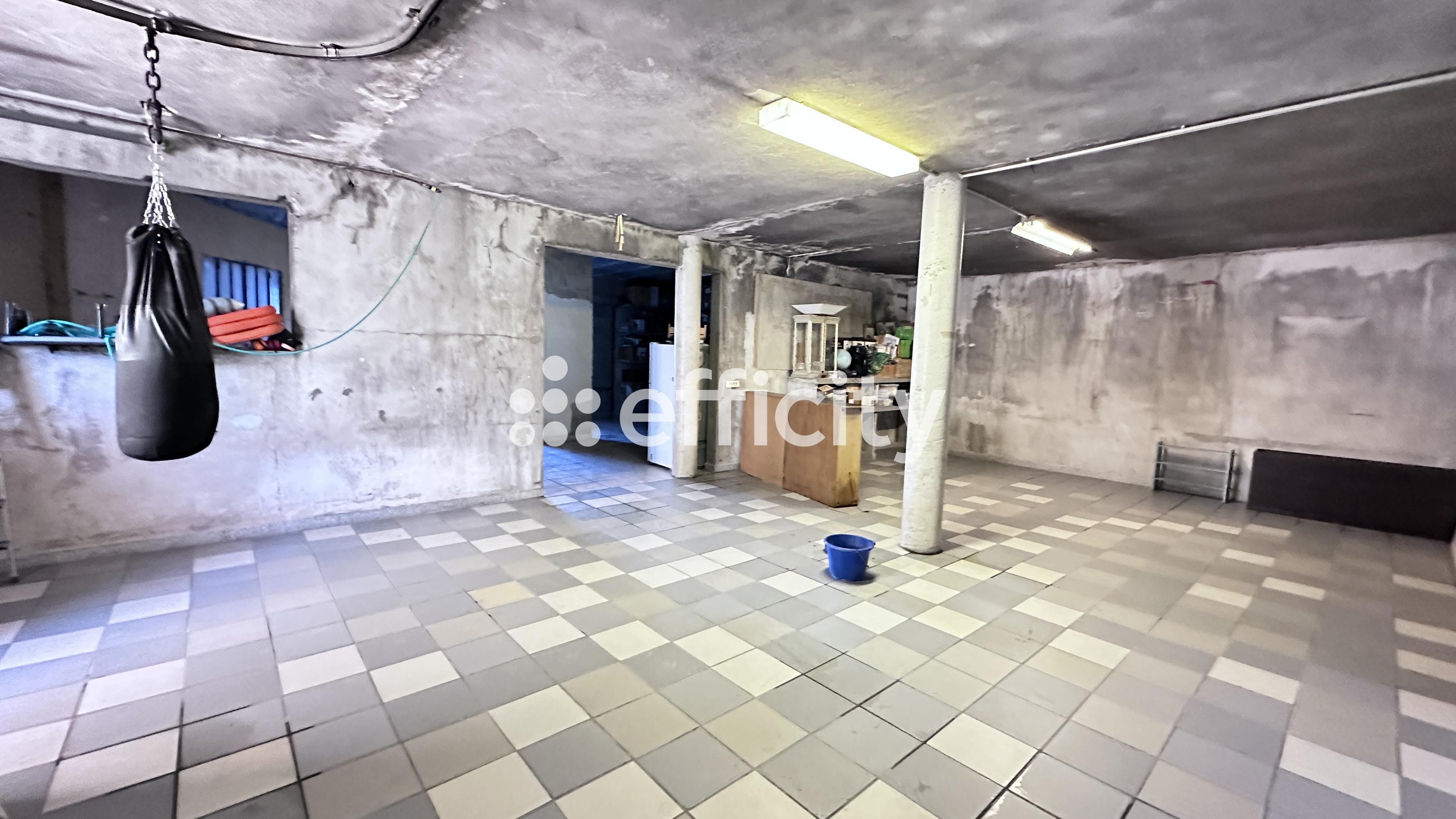 Achat immobilier Maison 7 pièces  130m2 à Le Pouzin (07250) - Photo n°12