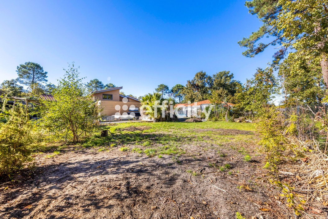 terrain  - 621,0m2 à Lacanau (33680)