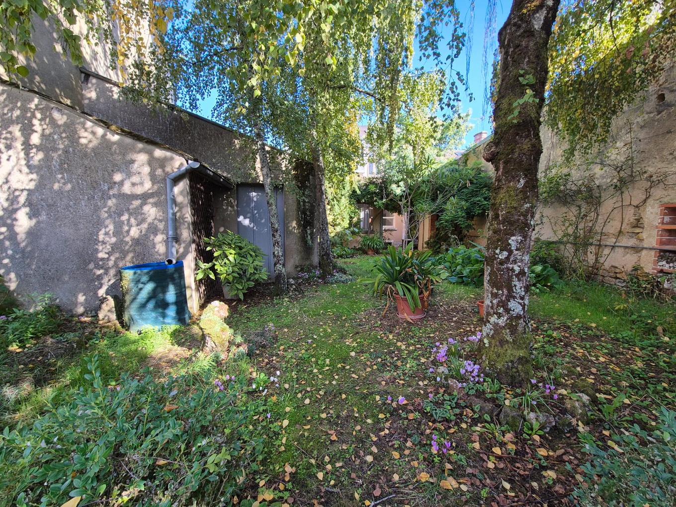 Achat immobilier Maison 7 pièces  198m2 à La Châtre (36400) - Photo n°14