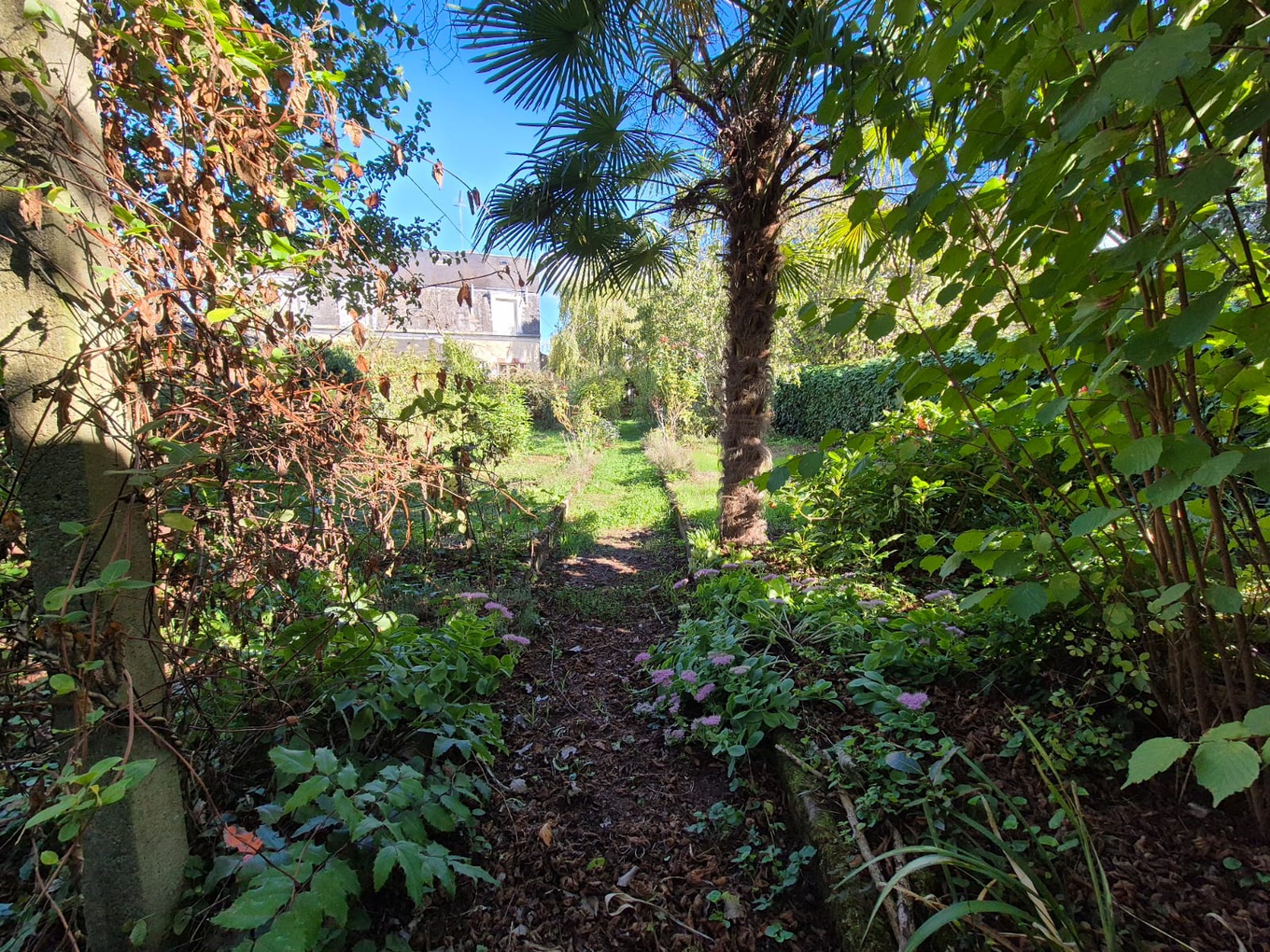 Achat immobilier Maison 7 pièces  198m2 à La Châtre (36400) - Photo n°18