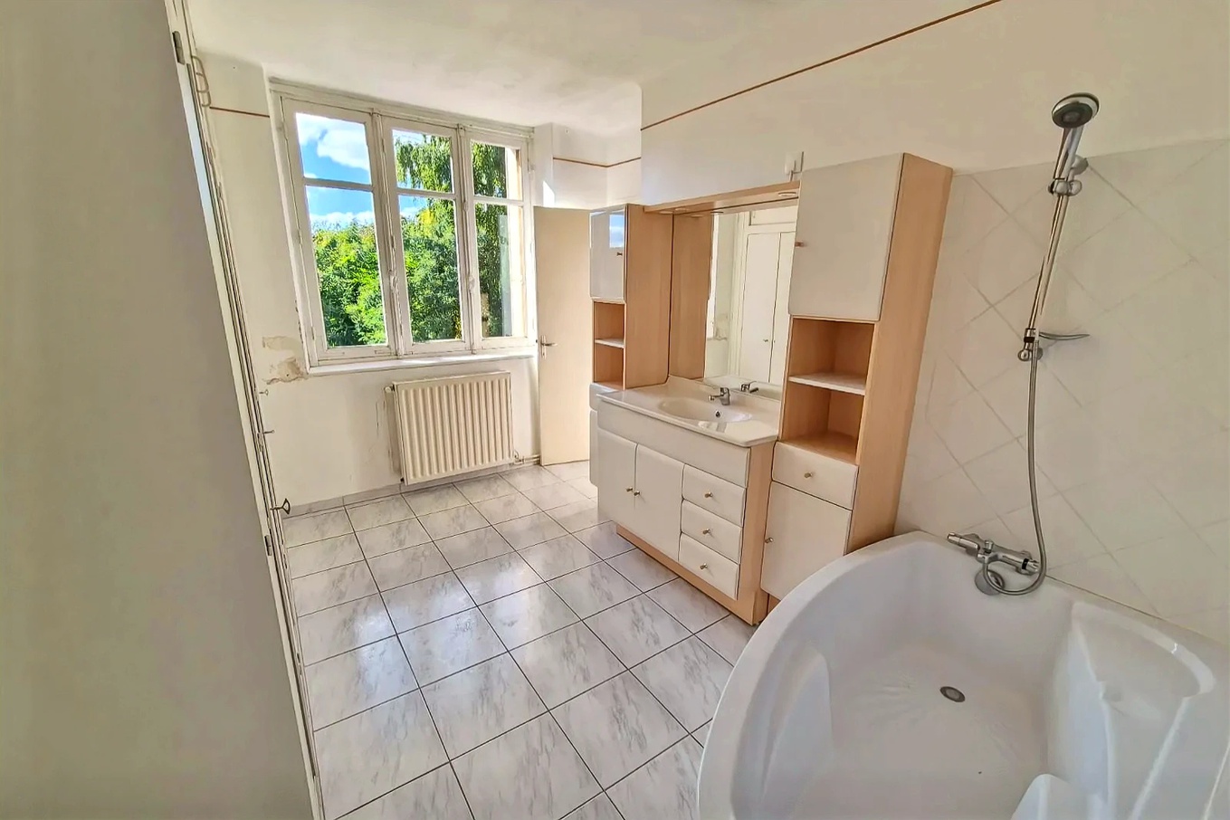 Achat immobilier Maison 7 pièces  198m2 à La Châtre (36400) - Photo n°9