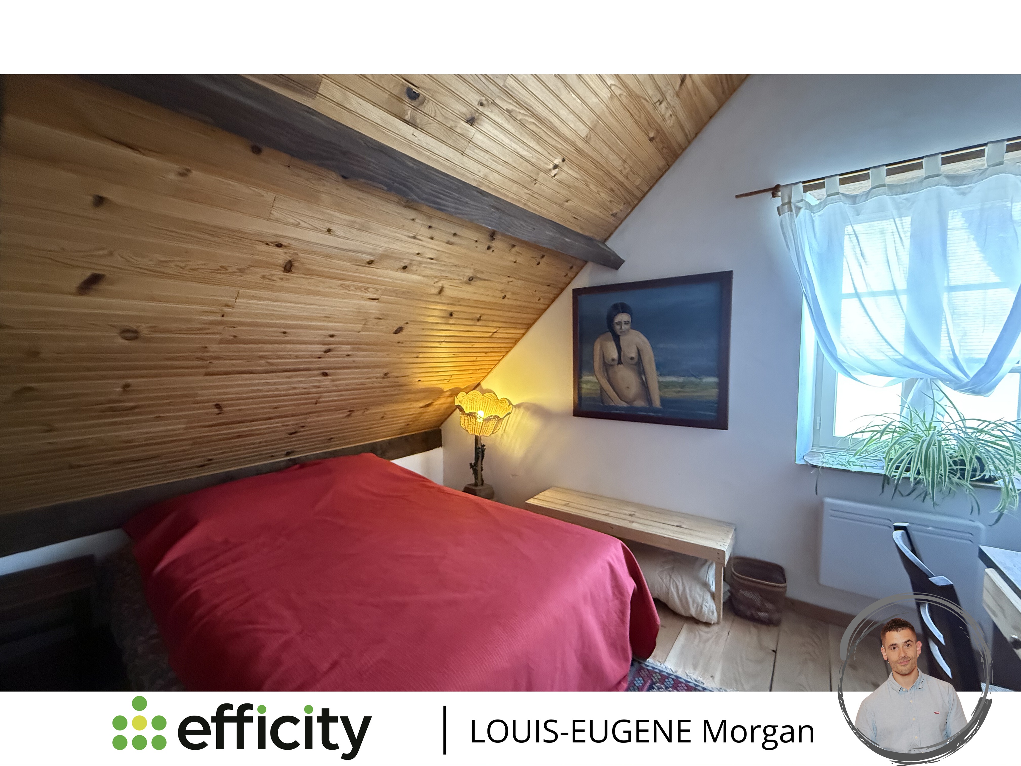 Achat immobilier Maison 8 pièces  191m2 à Tournon-Saint-Martin (36220) - Photo n°17