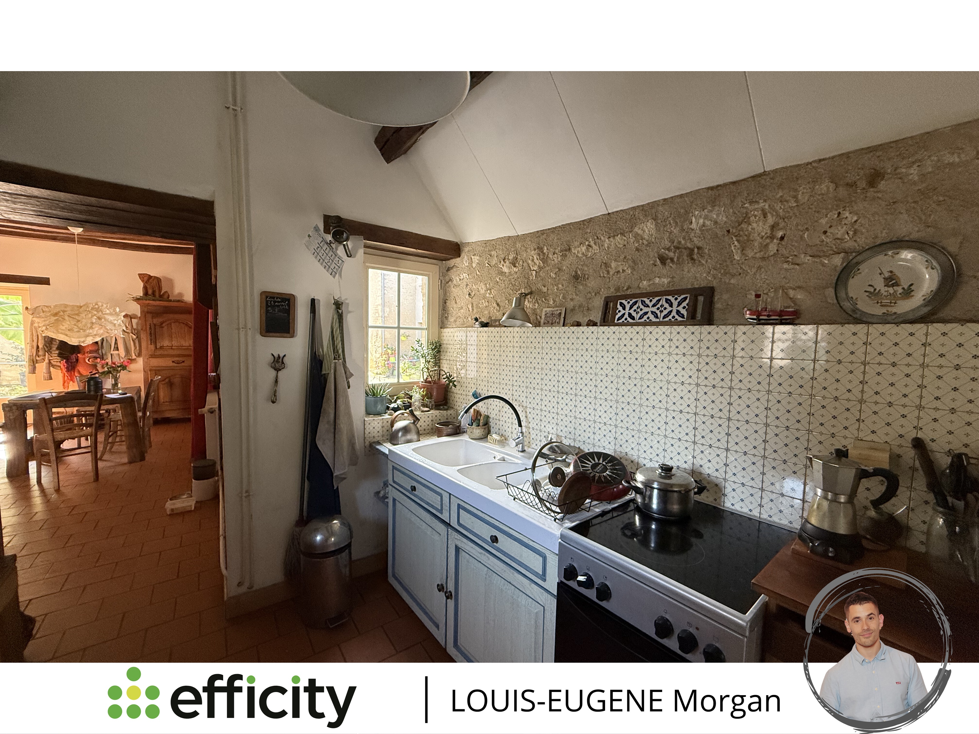Achat immobilier Maison 8 pièces  191m2 à Tournon-Saint-Martin (36220) - Photo n°5