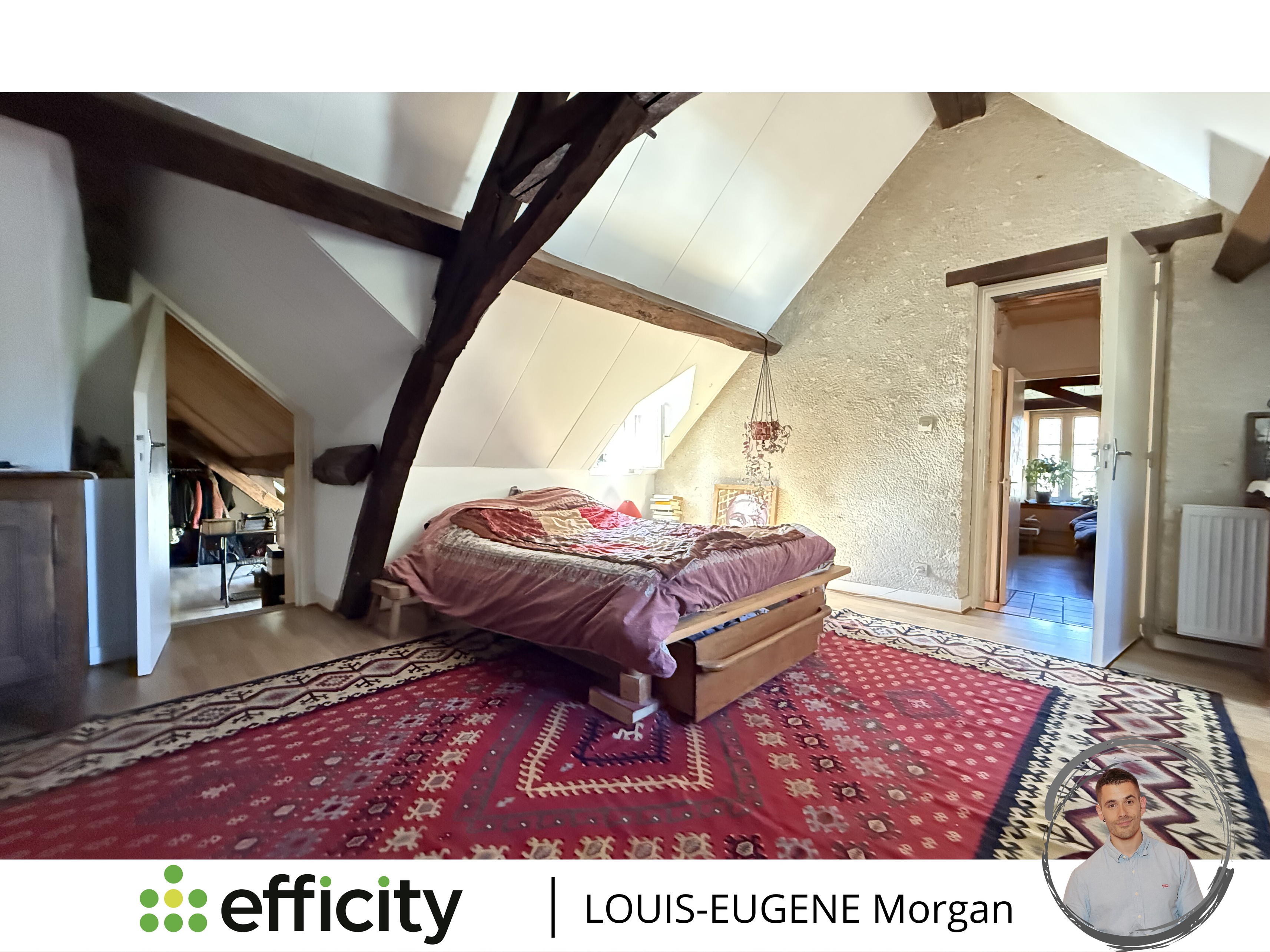 Achat immobilier Maison 8 pièces  191m2 à Tournon-Saint-Martin (36220) - Photo n°8