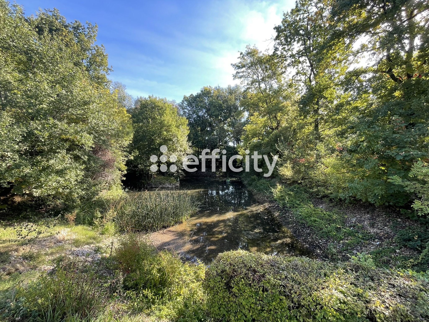 Achat immobilier Maison 3 pièces  94m2 à Mansle-les-Fontaines (16230) - Photo n°5