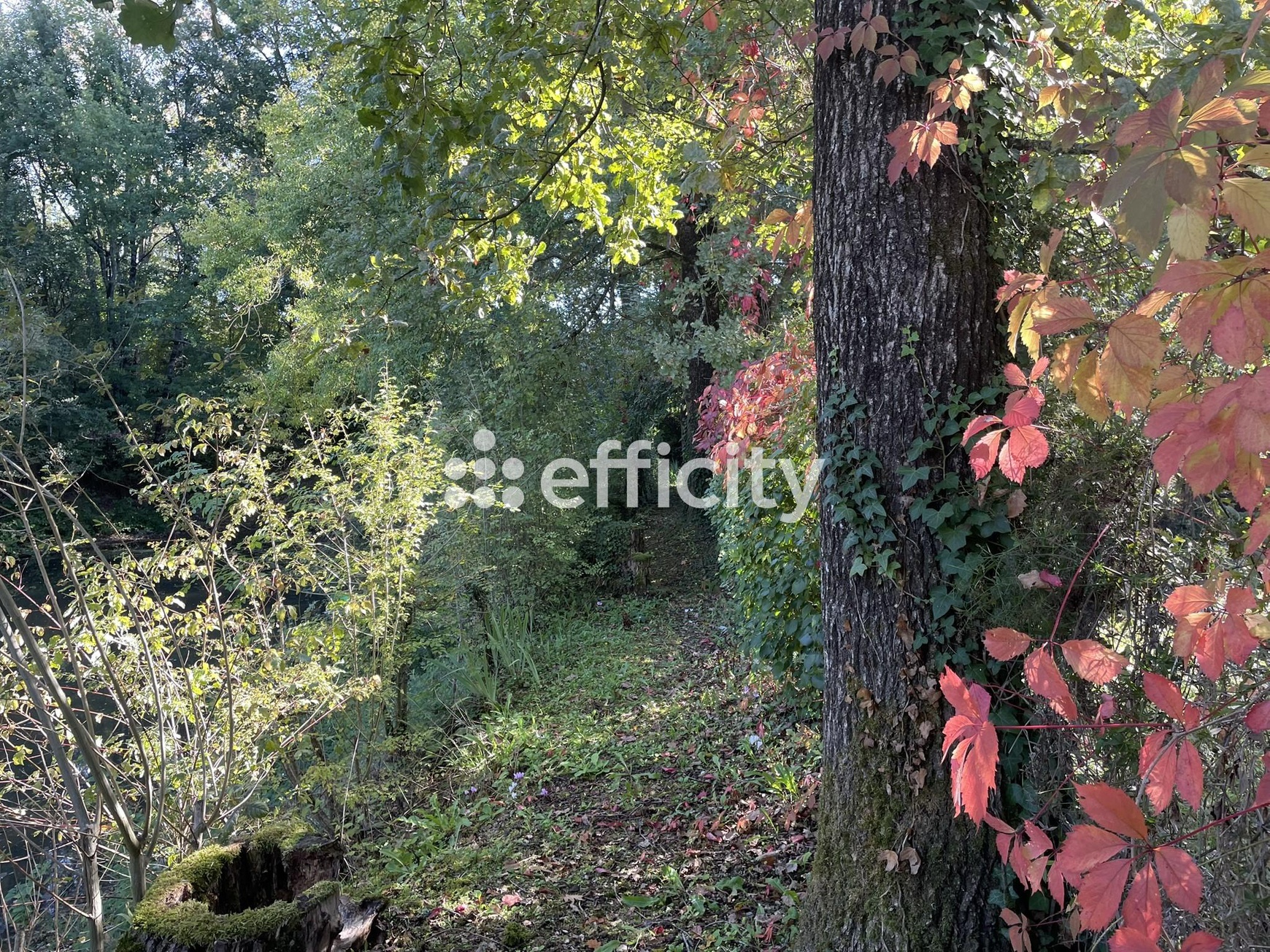 Achat immobilier Maison 3 pièces  94m2 à Mansle-les-Fontaines (16230) - Photo n°6