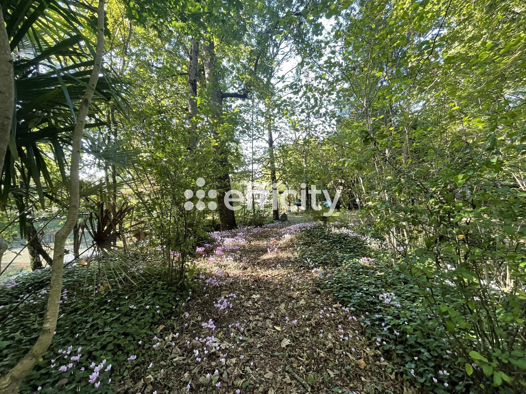 Achat immobilier Maison 3 pièces  94m2 à Mansle-les-Fontaines (16230) - Photo n°21