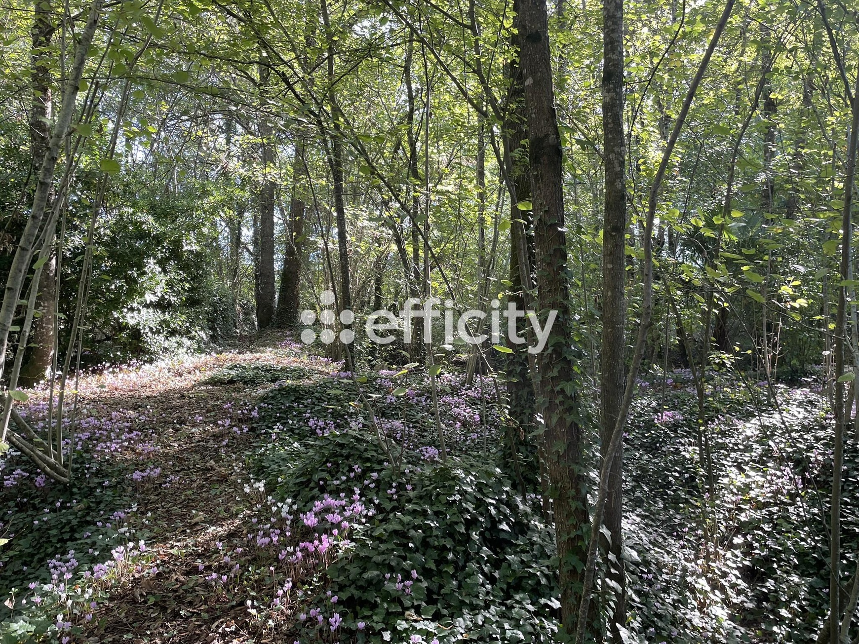 Achat immobilier Maison 3 pièces  94m2 à Mansle-les-Fontaines (16230) - Photo n°19