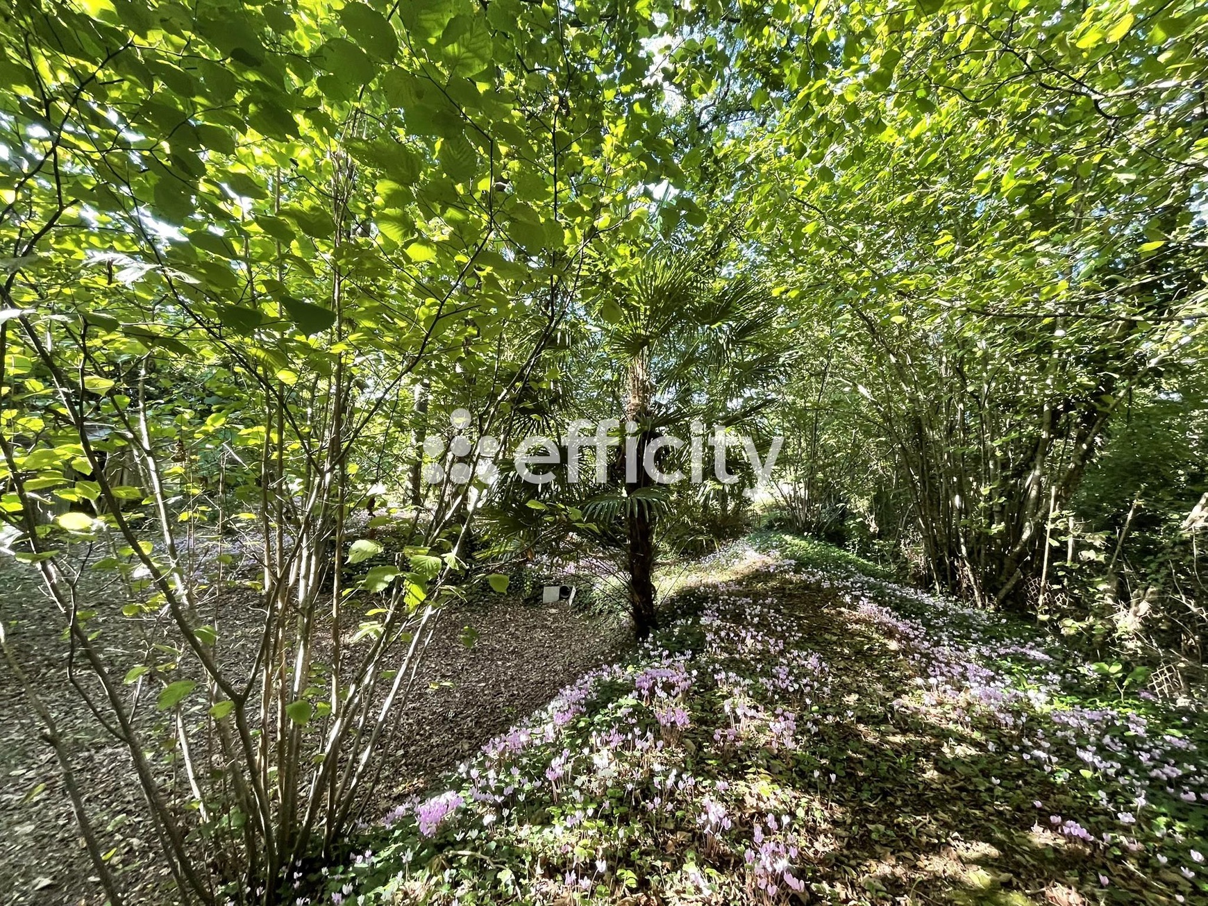 Achat immobilier Maison 3 pièces  94m2 à Mansle-les-Fontaines (16230) - Photo n°18