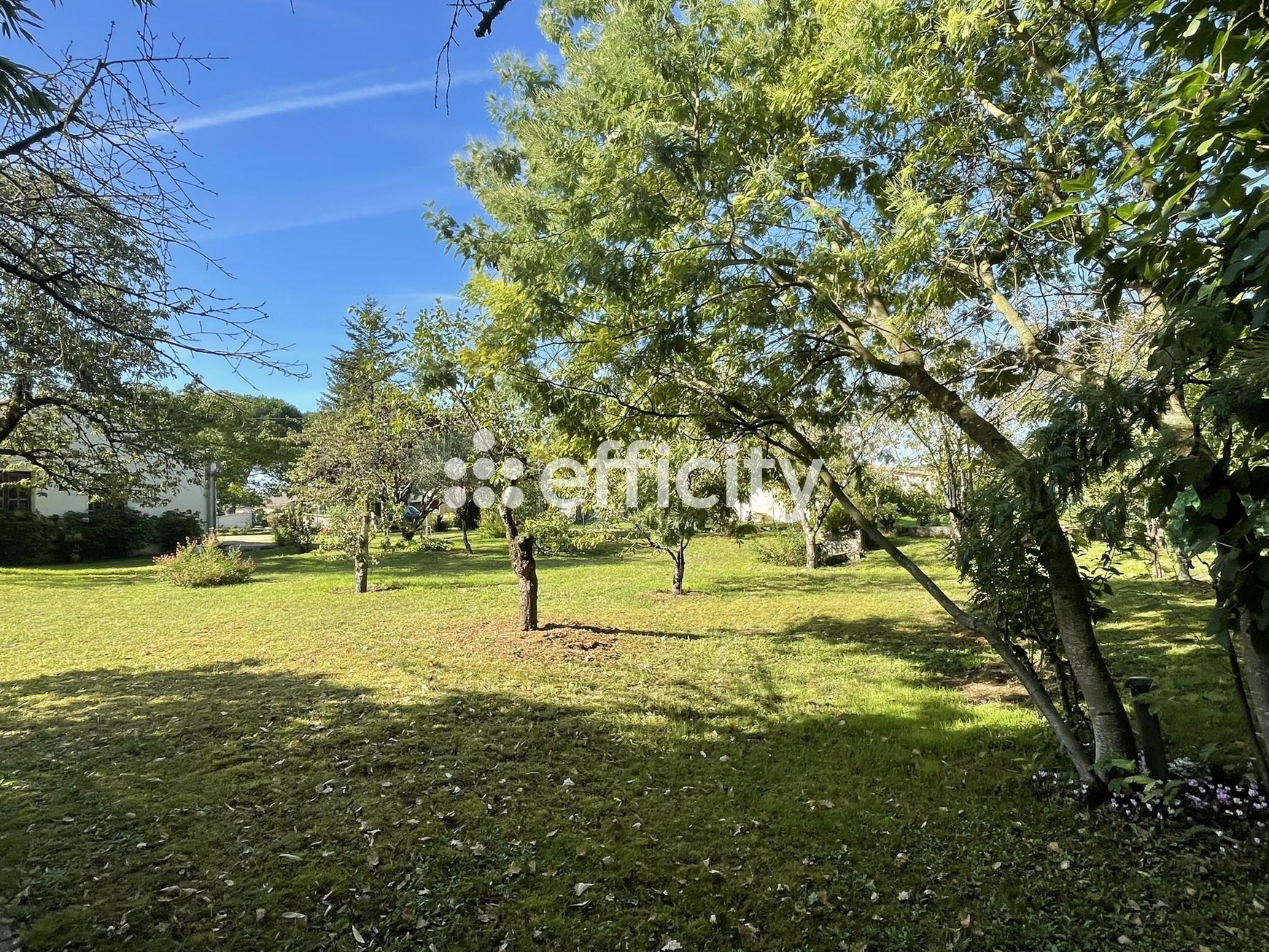 Achat immobilier Maison 3 pièces  94m2 à Mansle-les-Fontaines (16230) - Photo n°9
