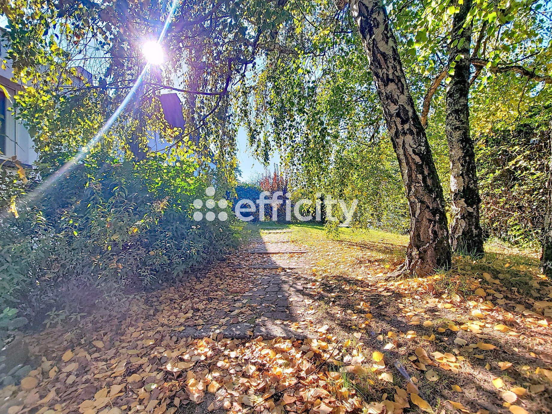 maison 6 pièces - 165m2 à Nesmy (85310)