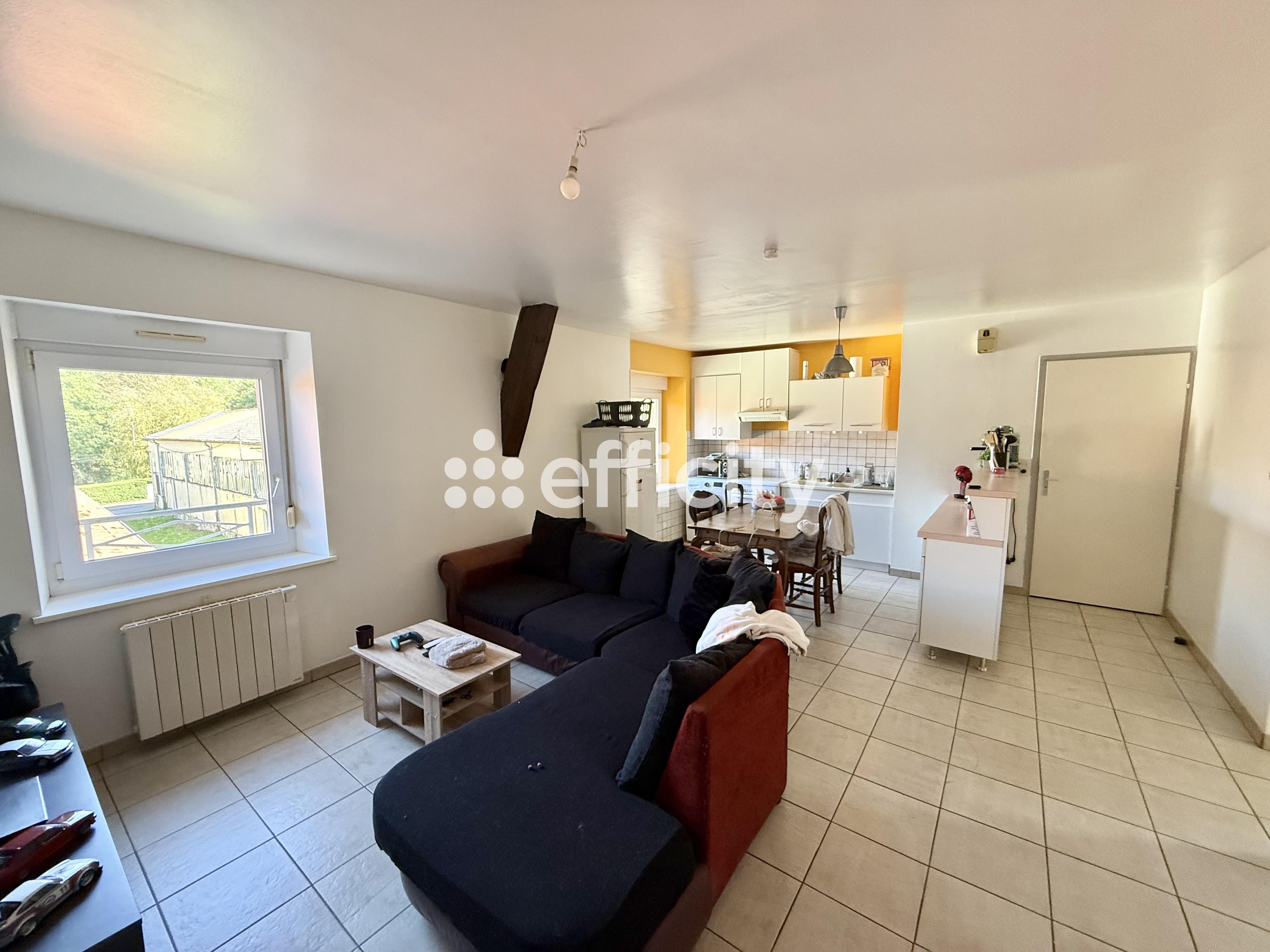 Achat immobilier Immeuble 22 pièces  405m2 à Mercy-le-Bas (54960) - Photo n°6