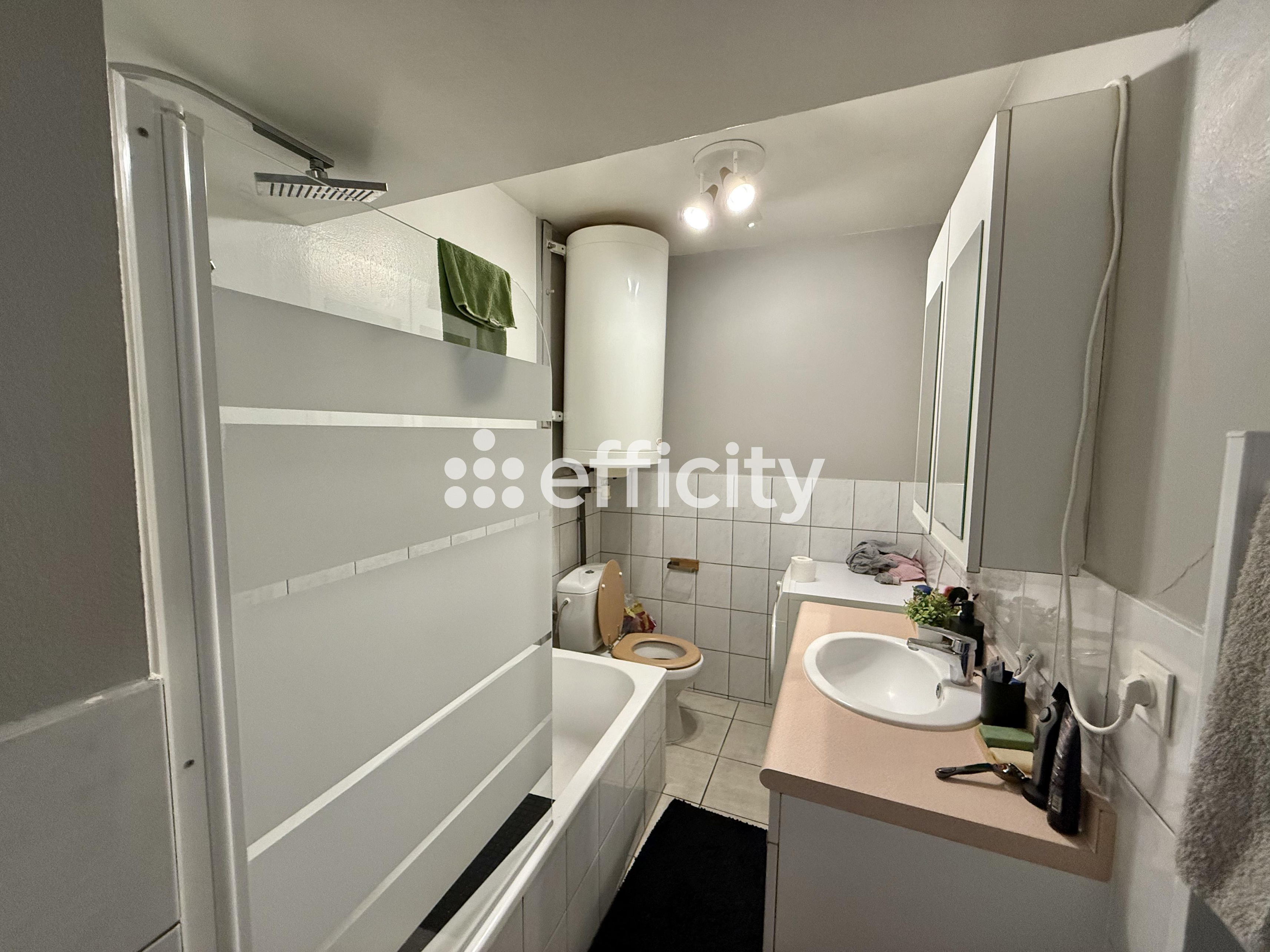 Achat immobilier Immeuble 22 pièces  405m2 à Mercy-le-Bas (54960) - Photo n°5