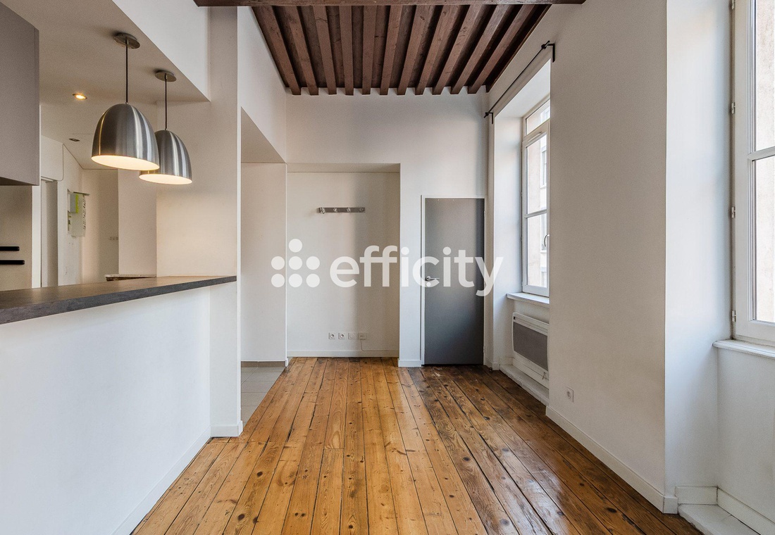 appartement 2 pièces - 34m2 à Lyon (69001)