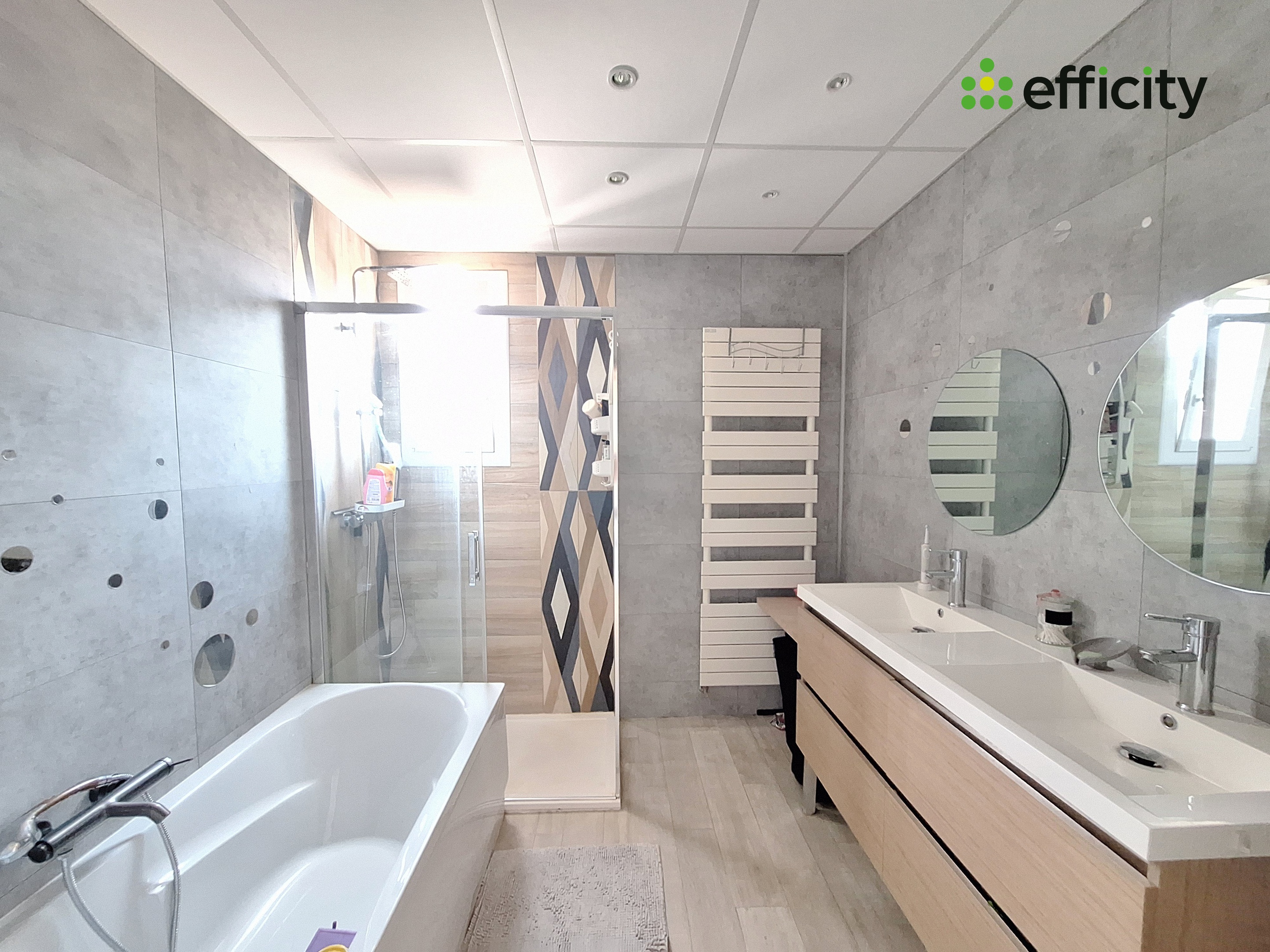 Achat immobilier Maison 9 pièces  225m2 à Peyruis (04310) - Photo n°6