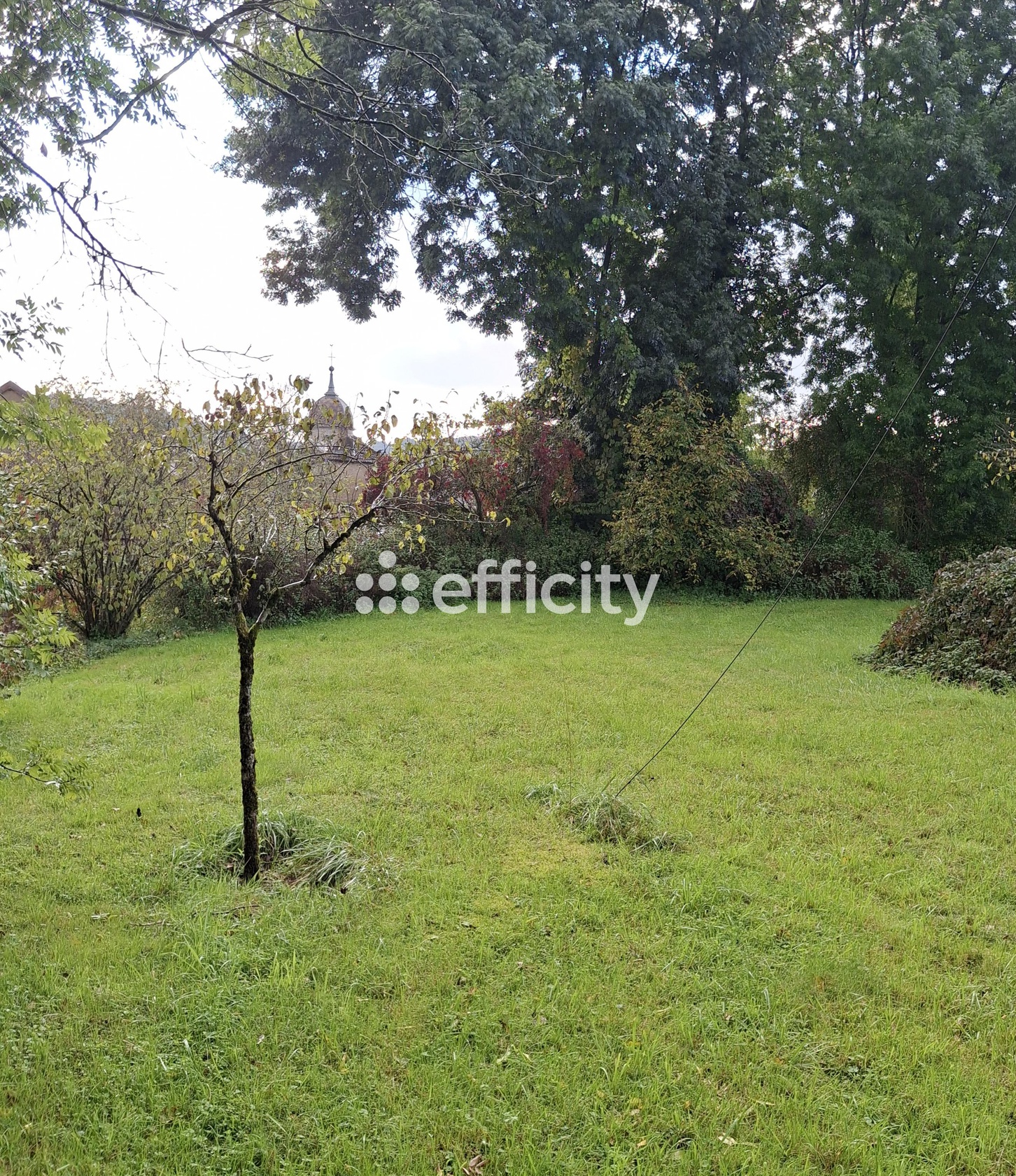 terrain  - 1000,0m2 à Esprels (70110)