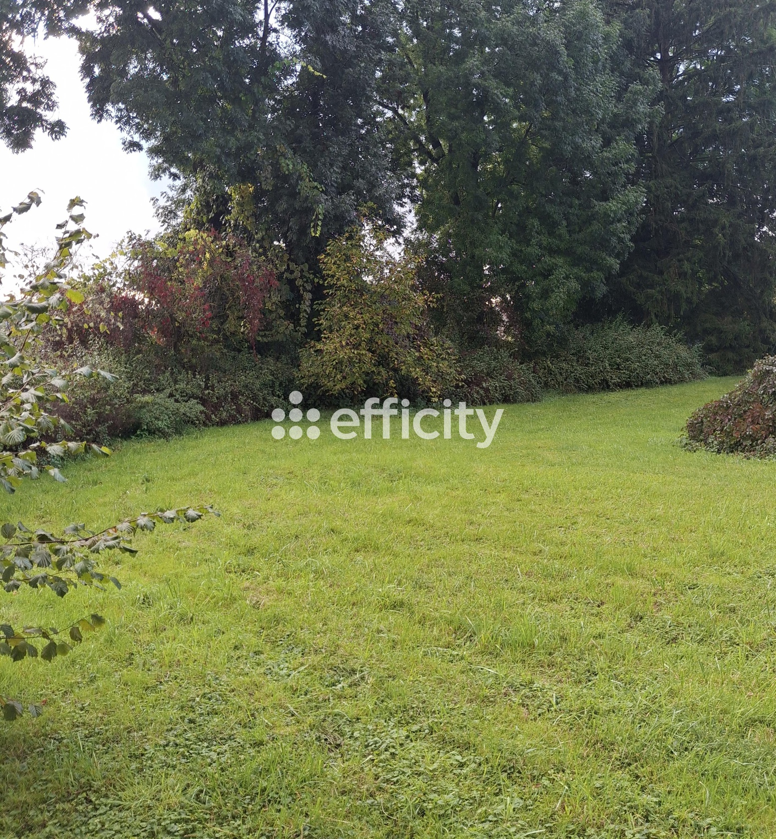 terrain  - 1000m2 à Esprels (70110)