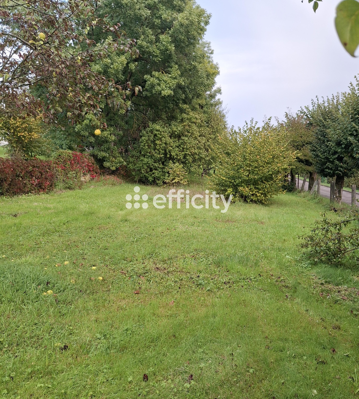 terrain  - 1000,0m2 à Esprels (70110)