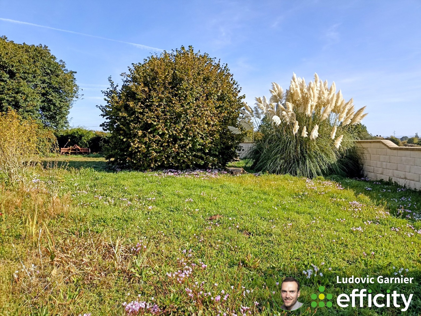 Achat immobilier Maison 6 pièces  153m2 à Isigny-le-Buat (50540) - Photo n°19