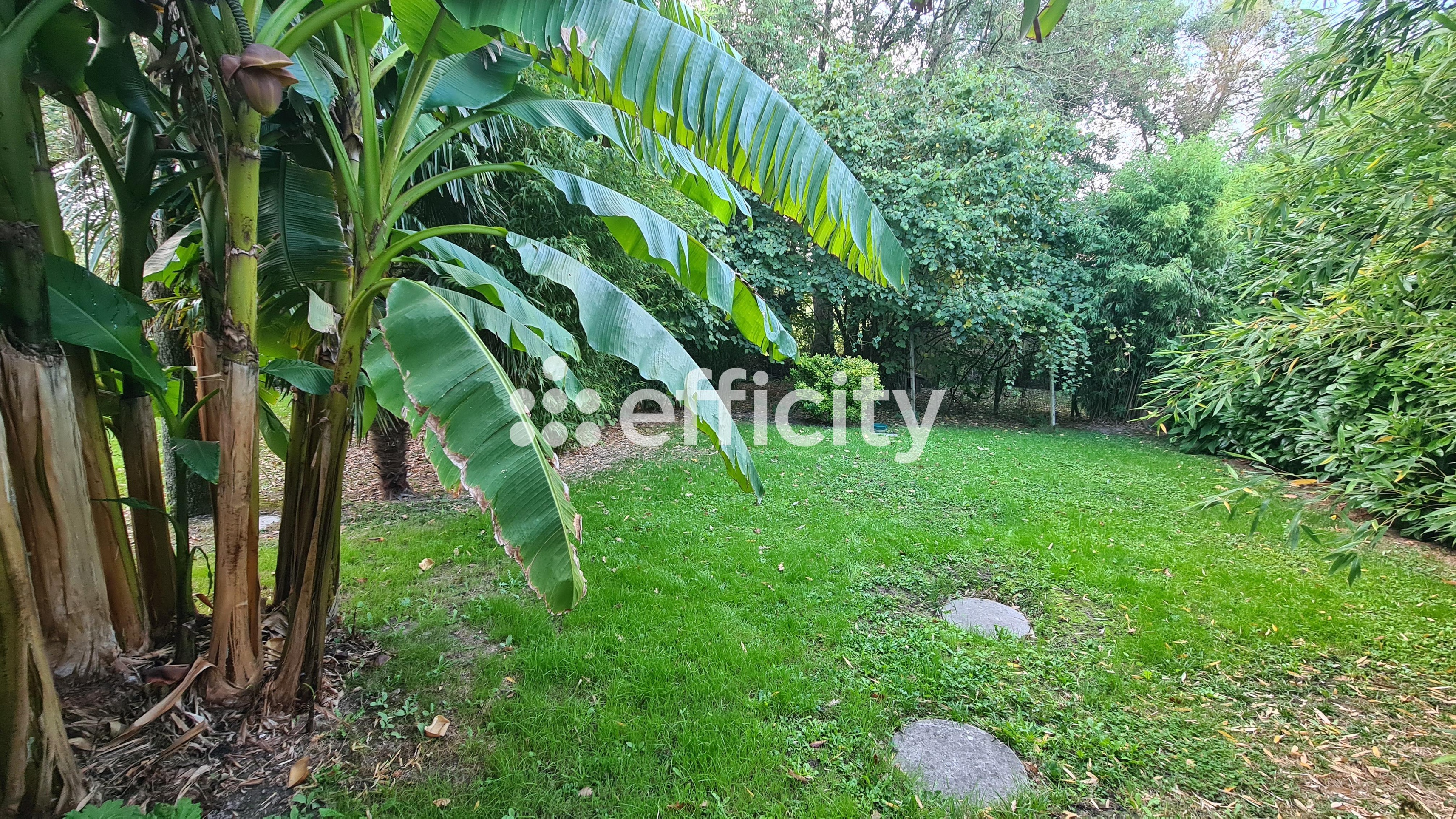 Achat immobilier Maison 3 pièces  70m2 à Sainte-Pazanne (44680) - Photo n°1