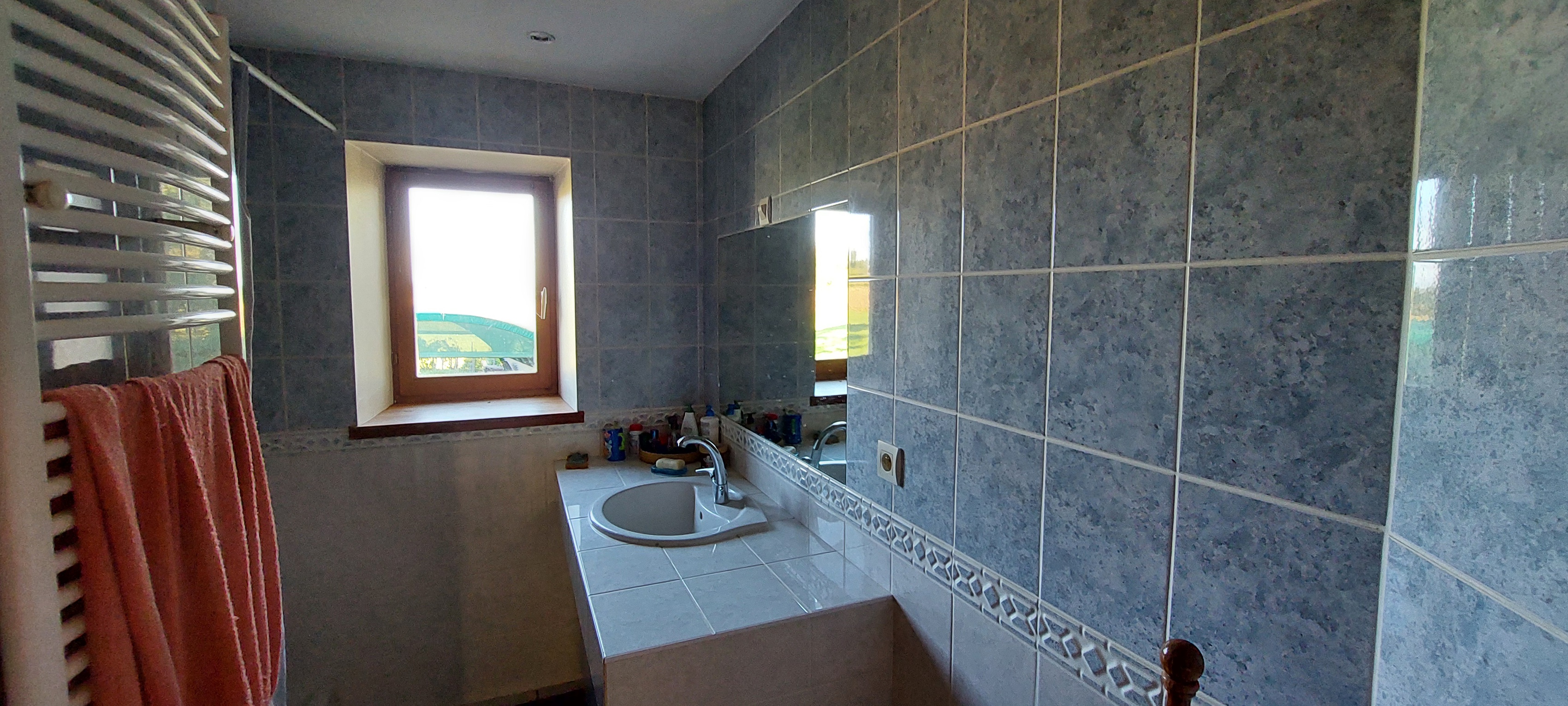 Achat immobilier Maison 5 pièces  242m2 à Revel-Tourdan (38270) - Photo n°11