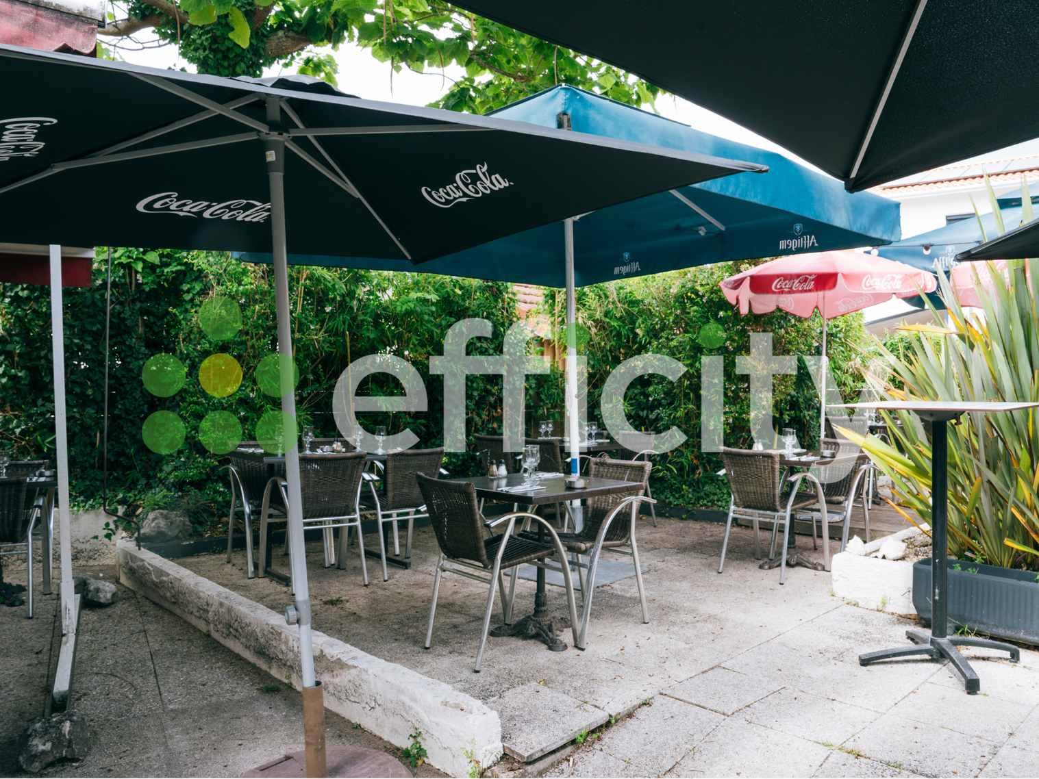 Achat immobilier Fonds de commerce   400m2 à Andernos-les-Bains (33510) - Photo n°4