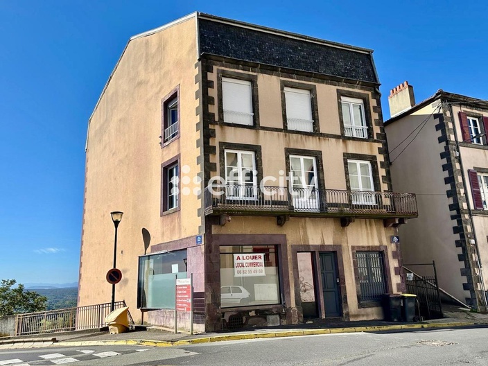 maison 25 pièces - 400m2 à Thiers (63300)