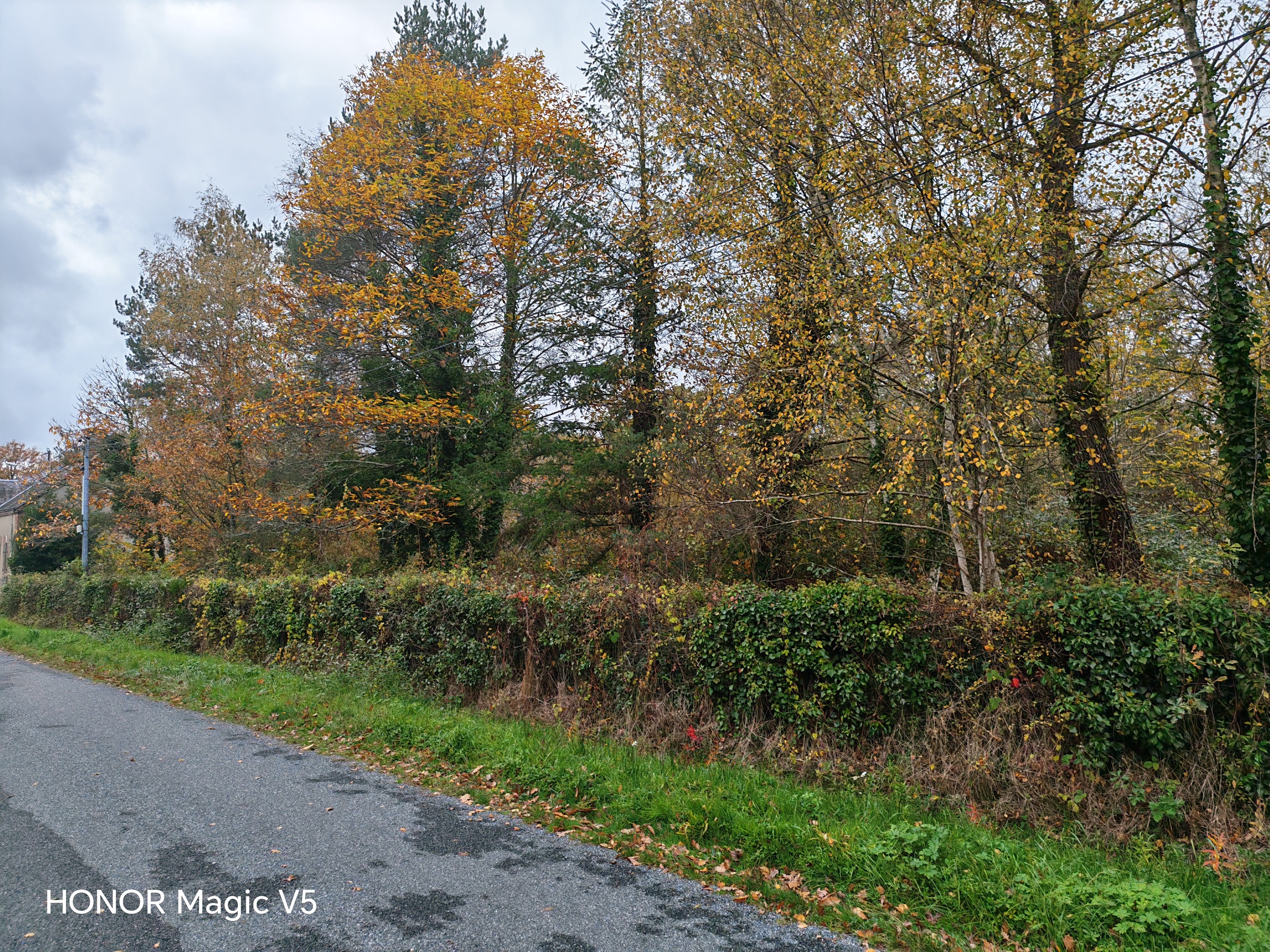 terrain  - 1602m2 à Nançay (18330)