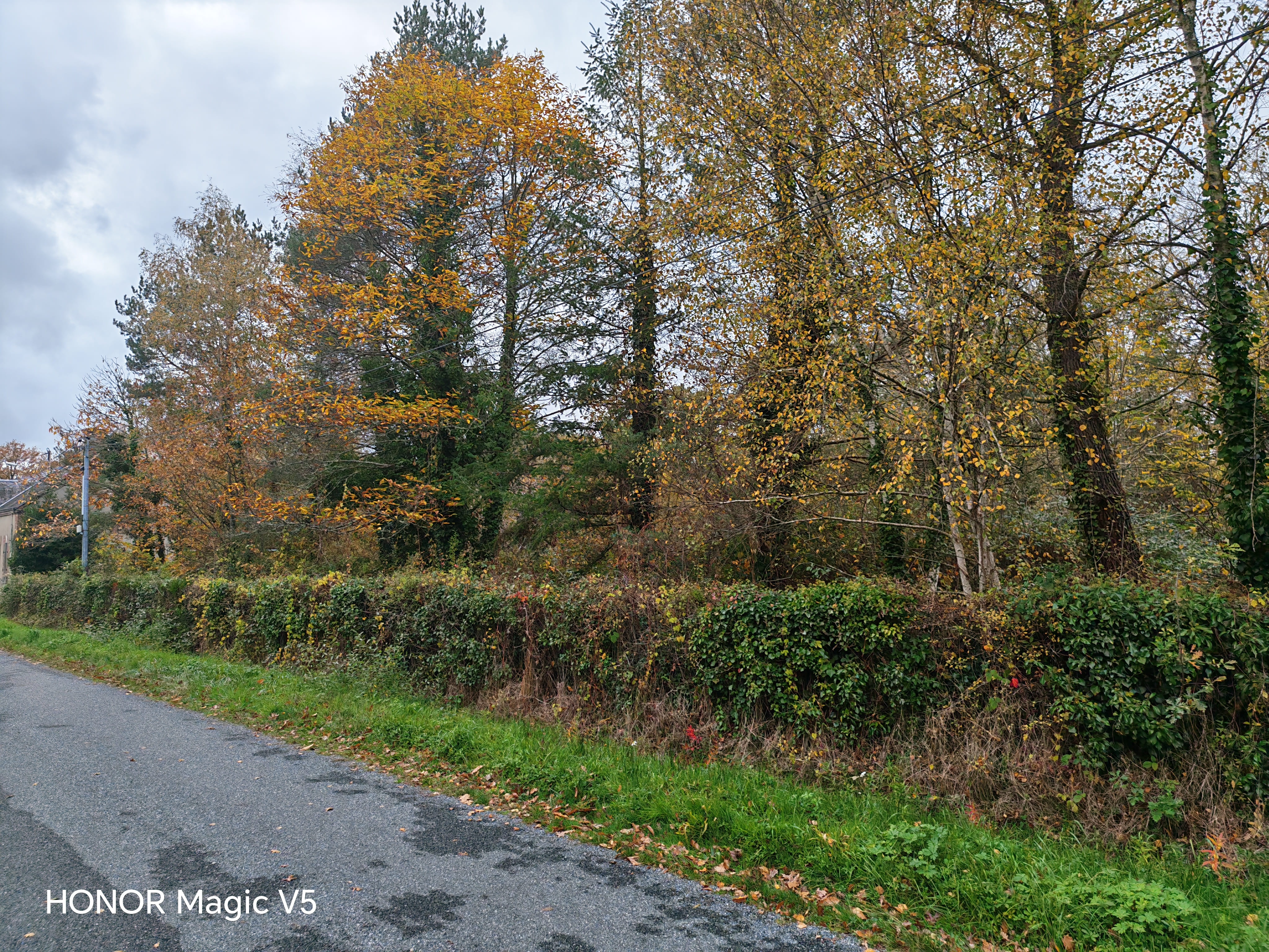 Terrain 1602 m² · à Nançay · 1 602 m² · 17 600 €